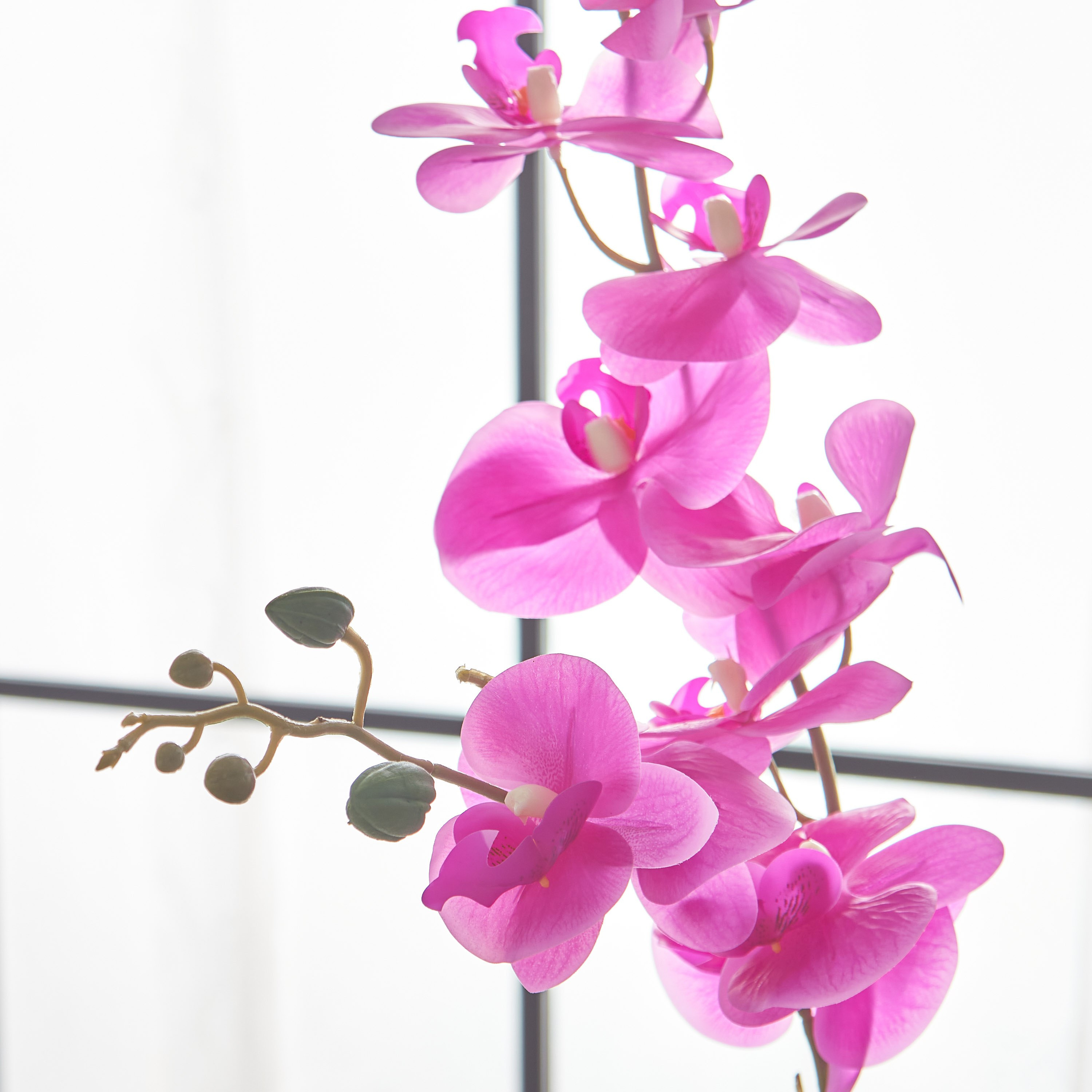 أزهار أوركيد في إناء زرع سيراميك مطلي من أليسا - 65 سم-hbxdecorandfurnishings-homeaccessories-artificialflowersandplants-image-2