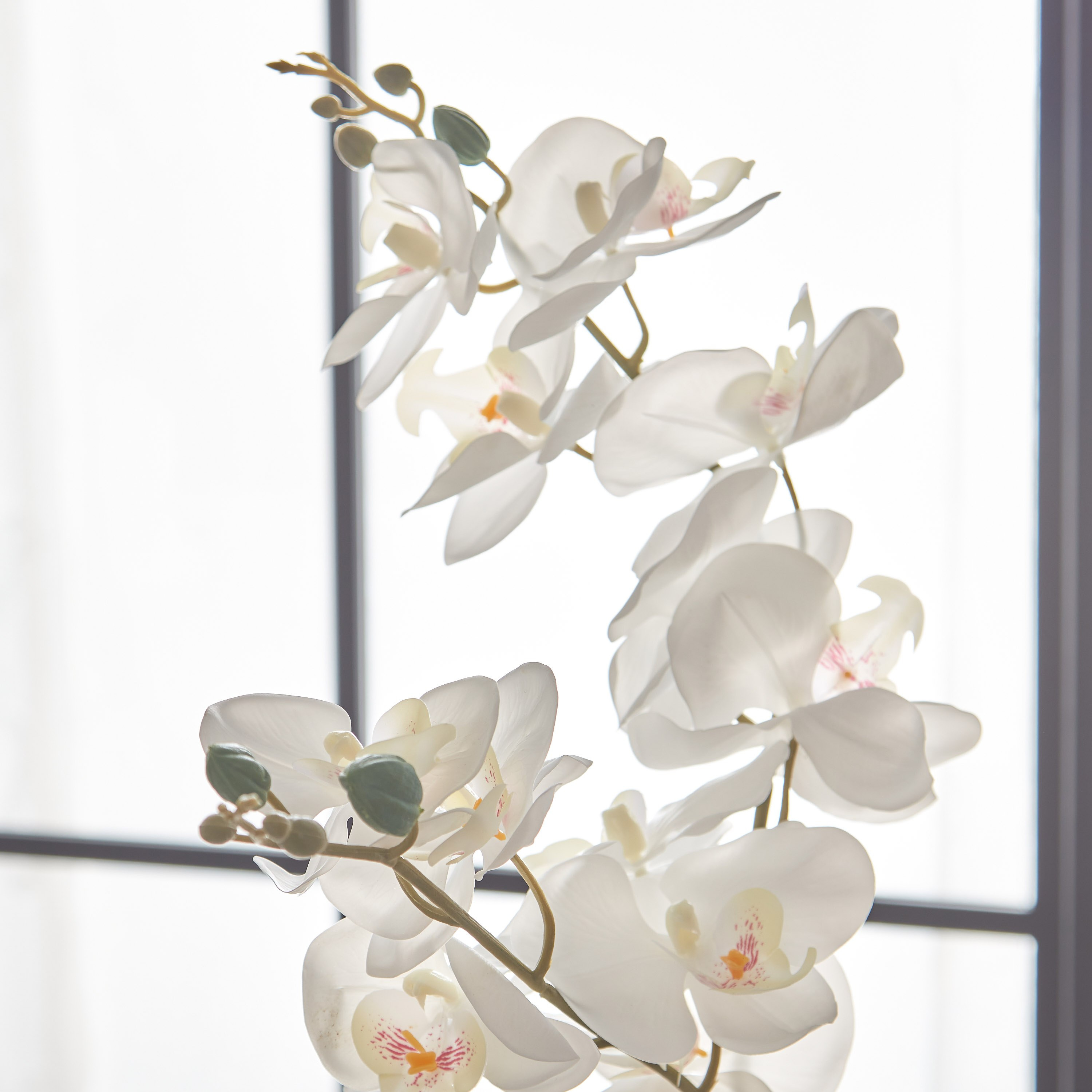 أزهار أوركيد بيضاء في إناء زرع سيراميك مطلي من أليسا - 65 سم-hbxdecorandfurnishings-homeaccessories-artificialflowersandplants-image-2