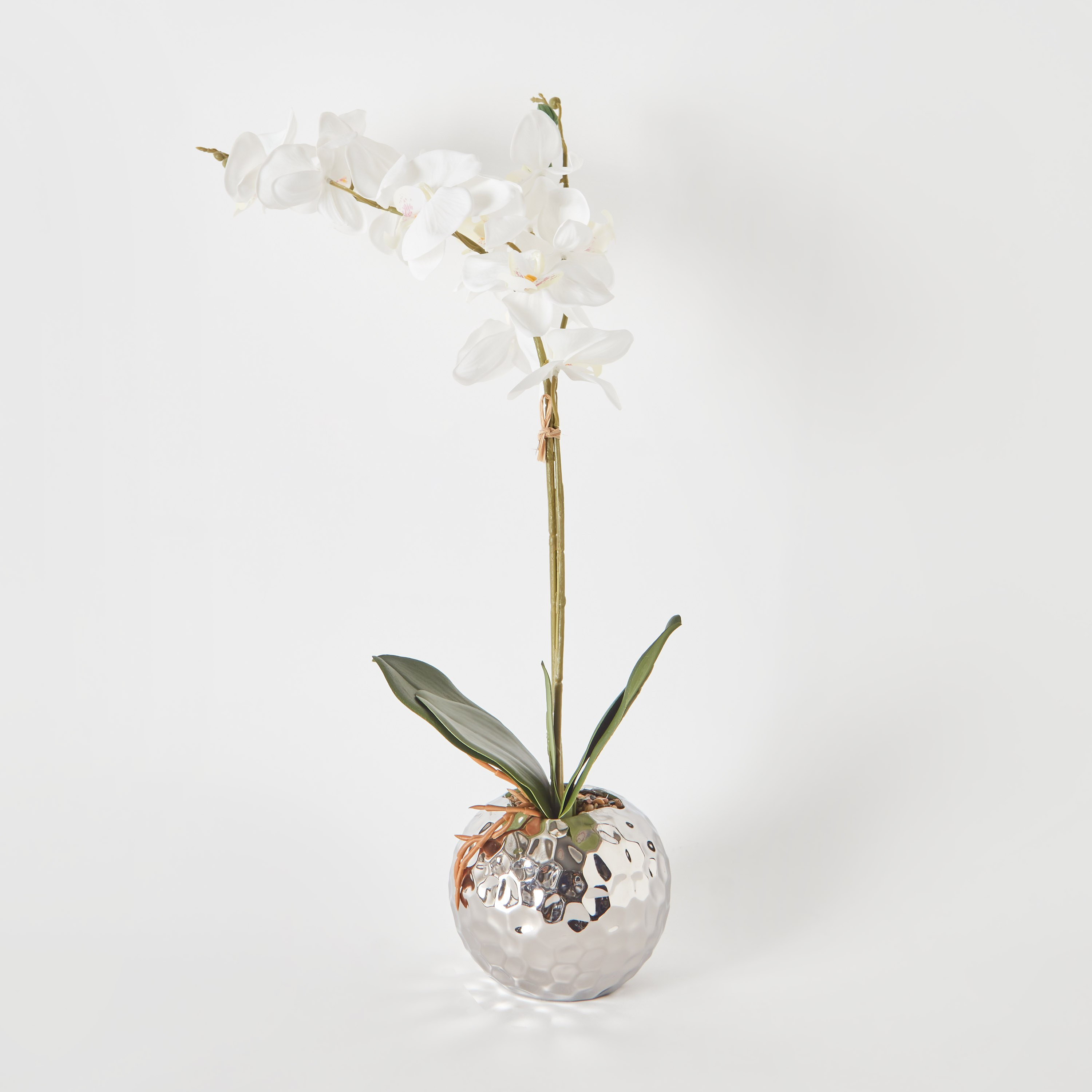 أزهار أوركيد بيضاء في إناء زرع سيراميك مطلي من أليسا - 65 سم-hbxdecorandfurnishings-homeaccessories-artificialflowersandplants-image-5