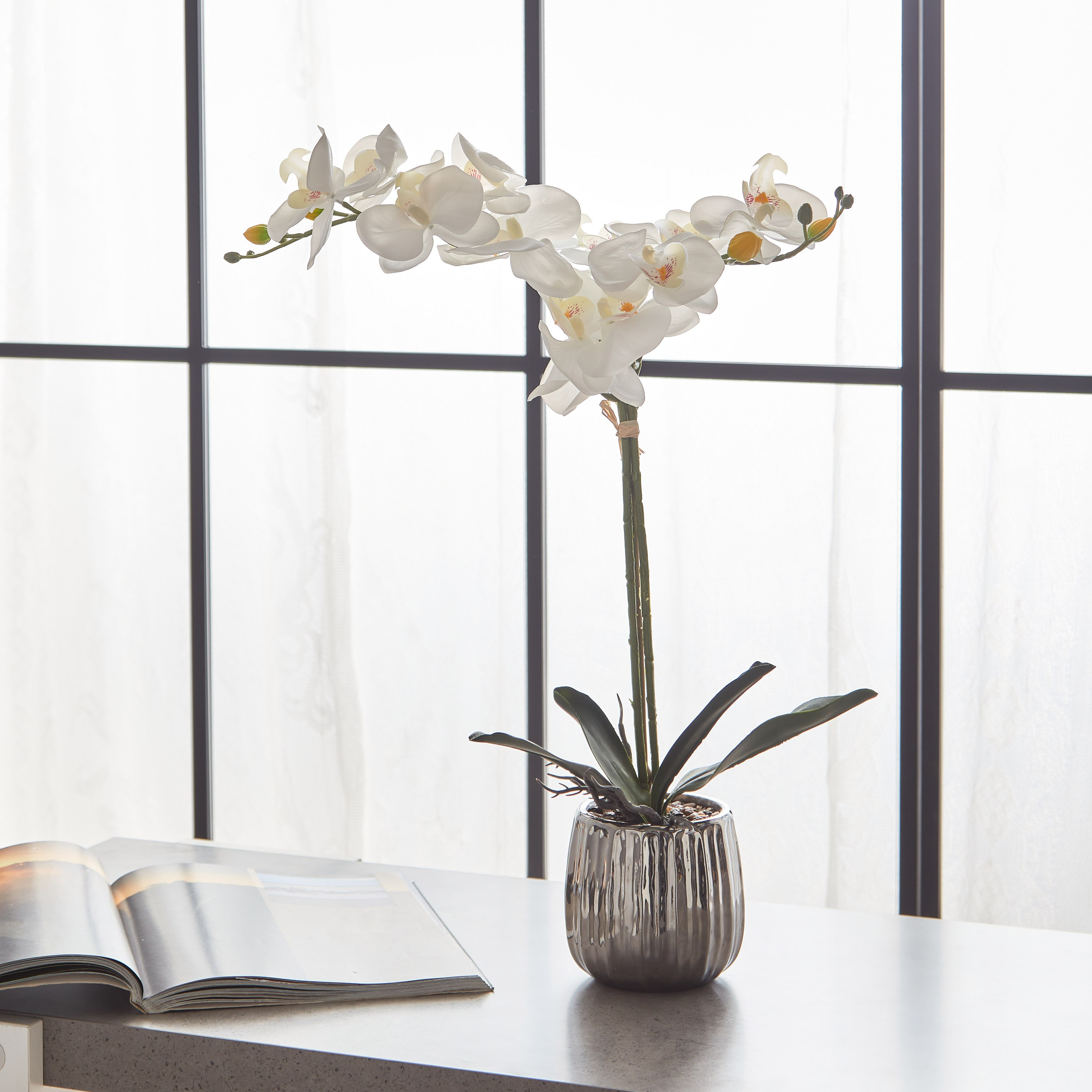 أزهار أوركيد بيضاء داخل إناء زرع سيراميك مطلي من أليسا  - 49 سم-hbxdecorandfurnishings-homeaccessories-artificialflowersandplants-image-1