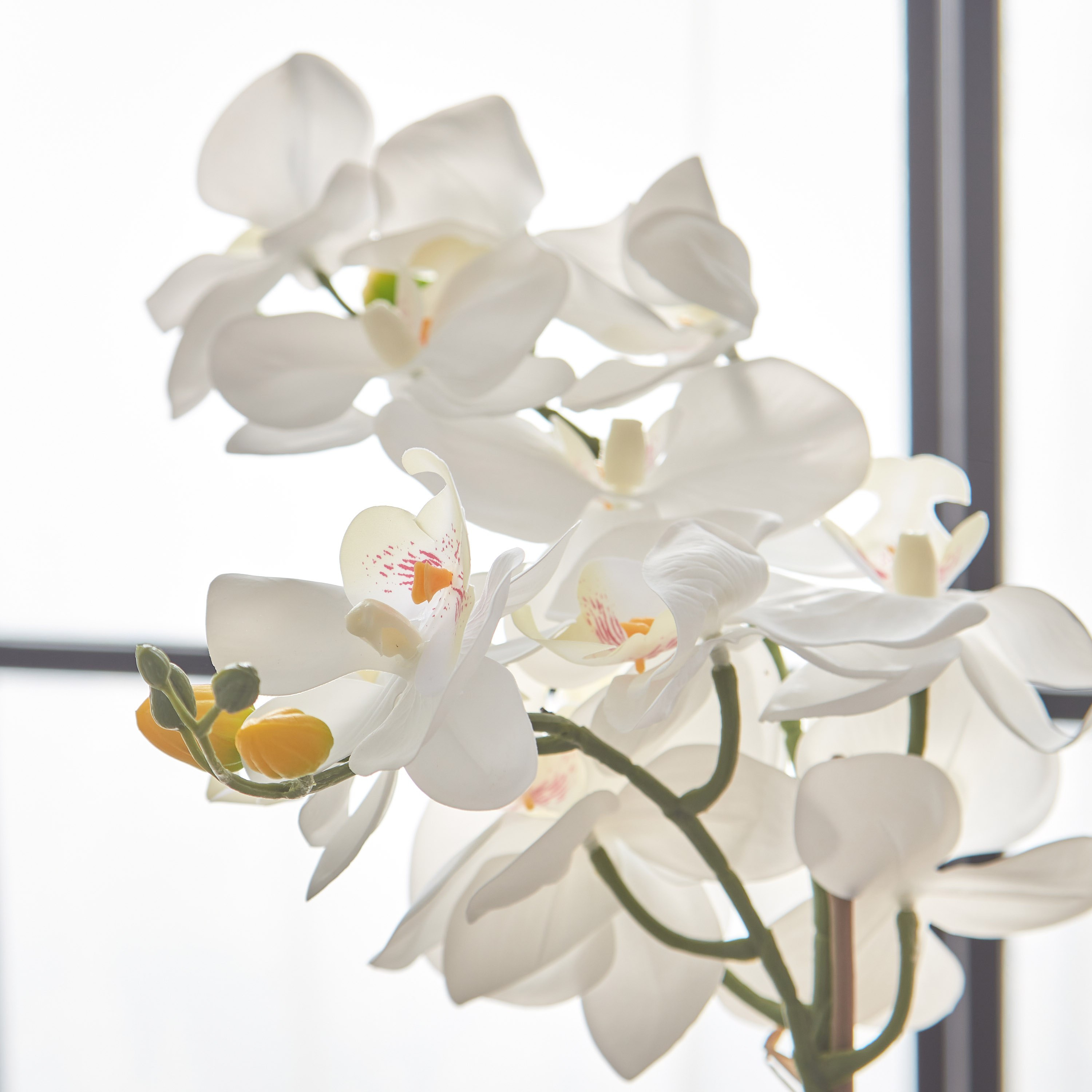 أزهار أوركيد بيضاء داخل إناء زرع سيراميك مطلي من أليسا  - 49 سم-hbxdecorandfurnishings-homeaccessories-artificialflowersandplants-image-2