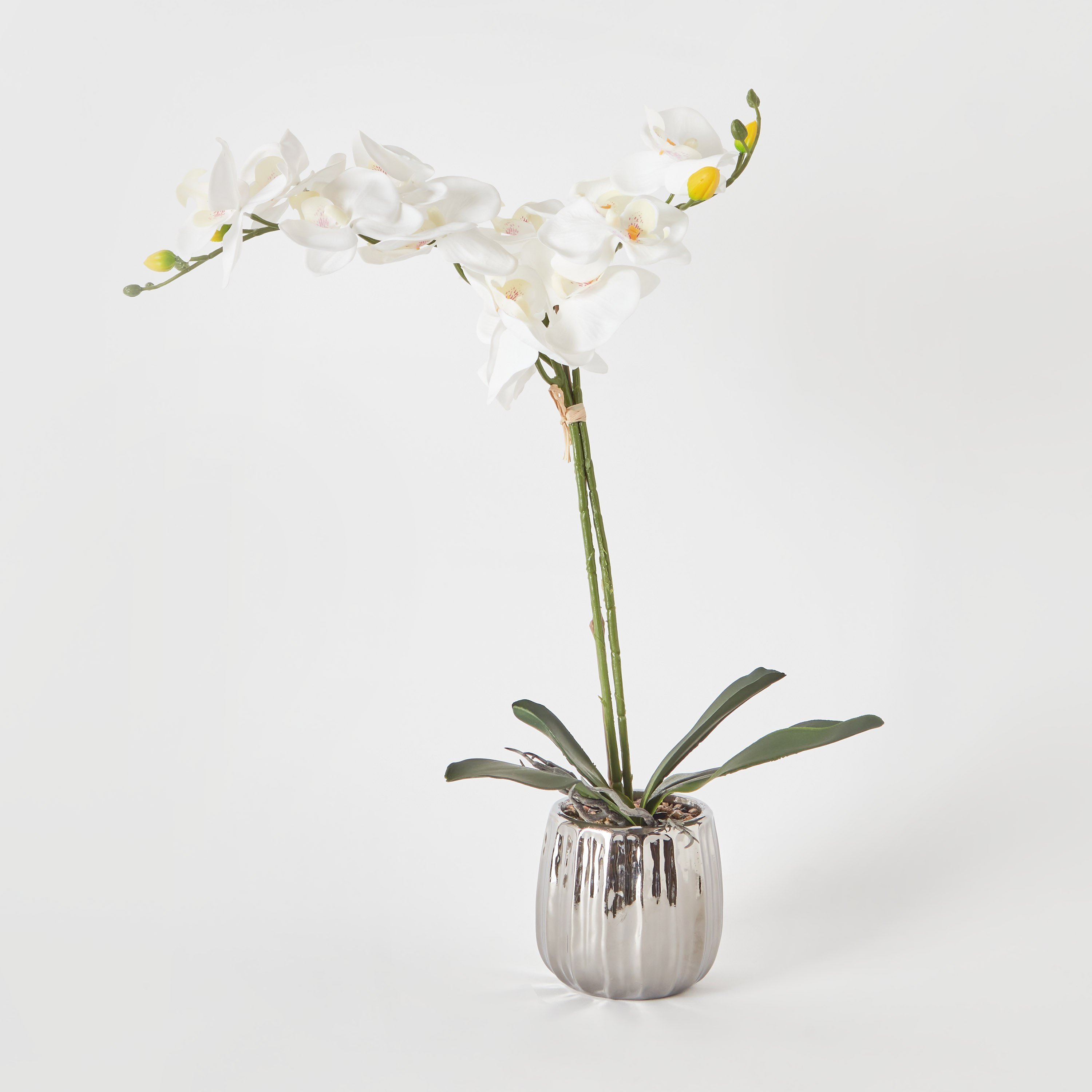أزهار أوركيد بيضاء داخل إناء زرع سيراميك مطلي من أليسا  - 49 سم-hbxdecorandfurnishings-homeaccessories-artificialflowersandplants-image-5