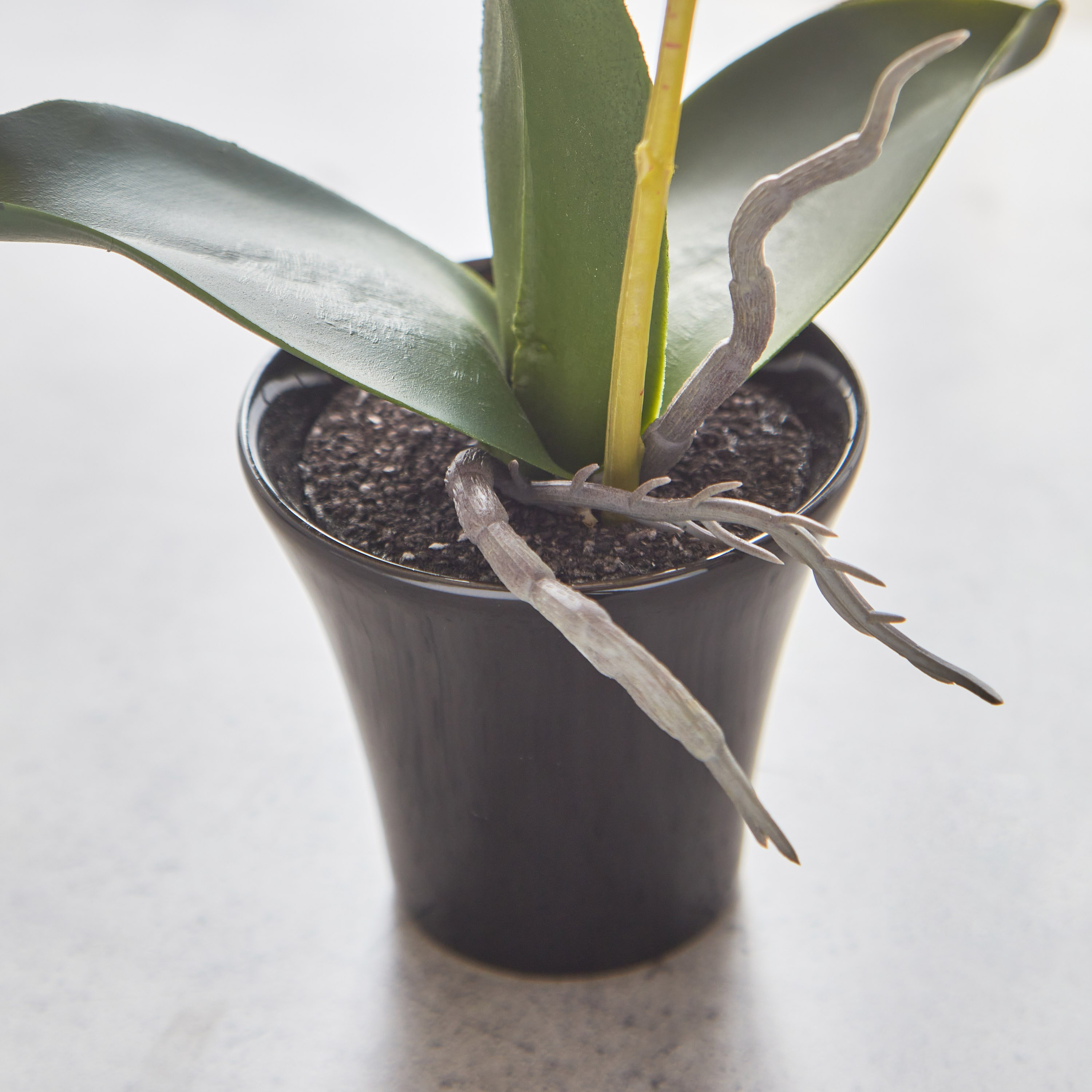 أزهار أوركيد في إناء زرع سيراميك من أليسا - 30 سم-hbxdecorandfurnishings-homeaccessories-artificialflowersandplants-image-3