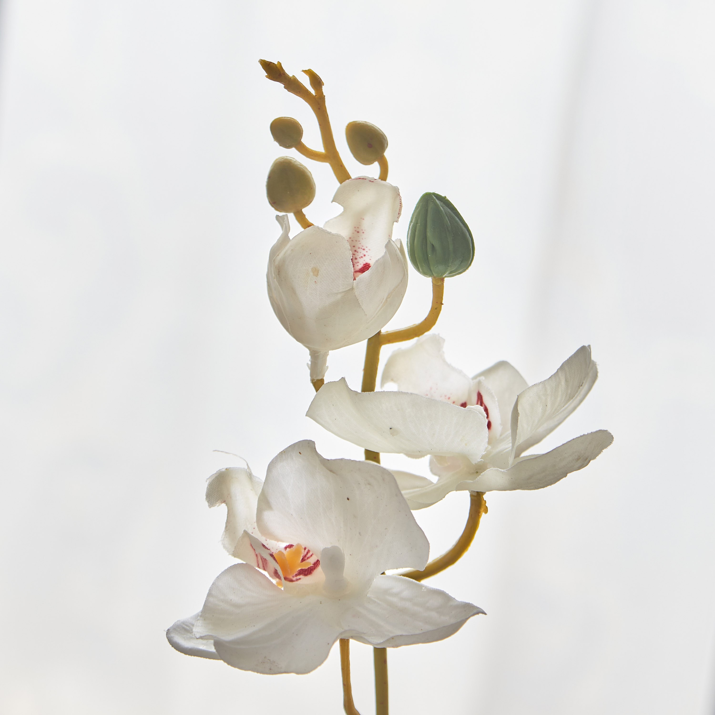 أزهار أوركيد في إناء زرع سيراميك من أليسا - 30 سم-hbxdecorandfurnishings-homeaccessories-artificialflowersandplants-image-2