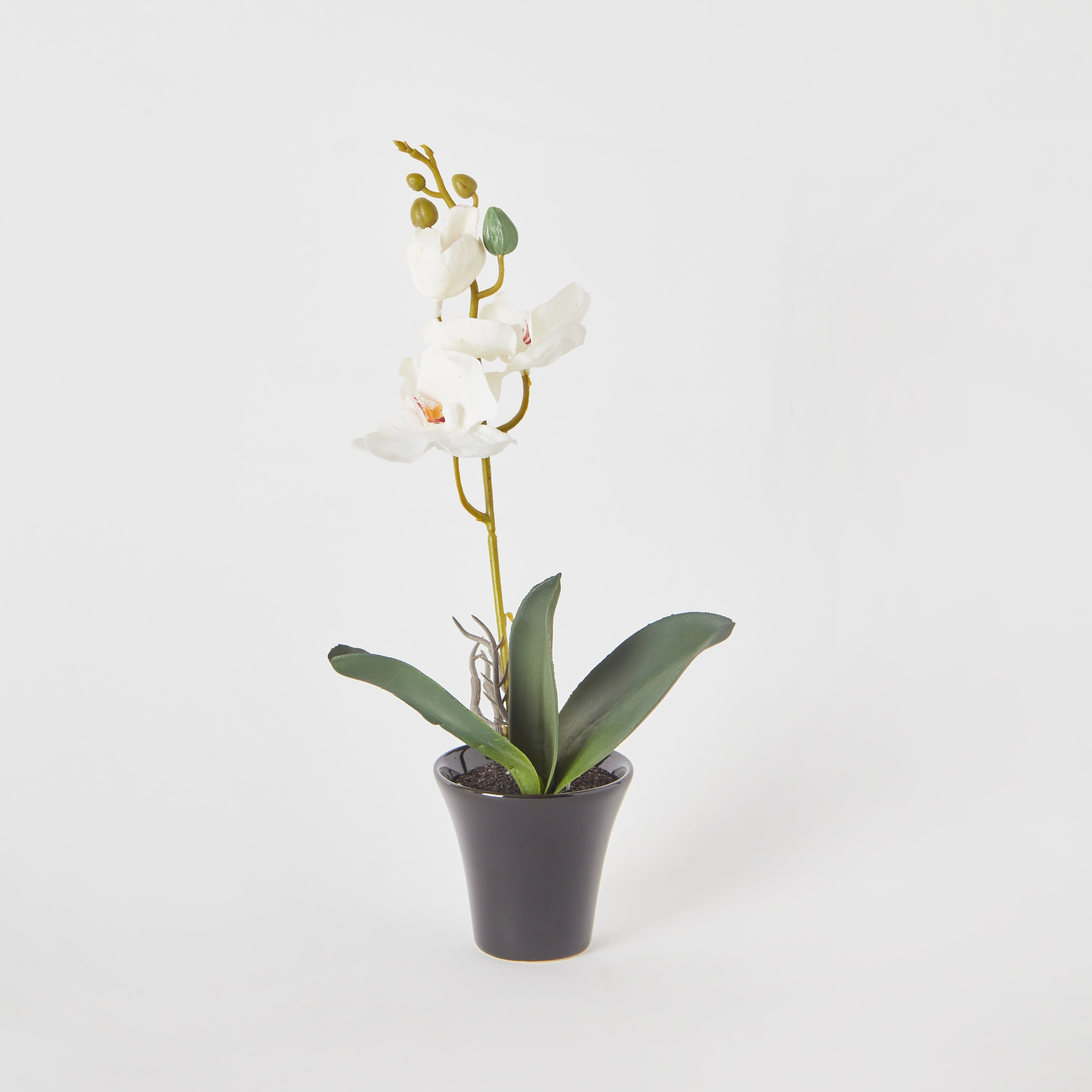 أزهار أوركيد في إناء زرع سيراميك من أليسا - 30 سم-hbxdecorandfurnishings-homeaccessories-artificialflowersandplants-image-5