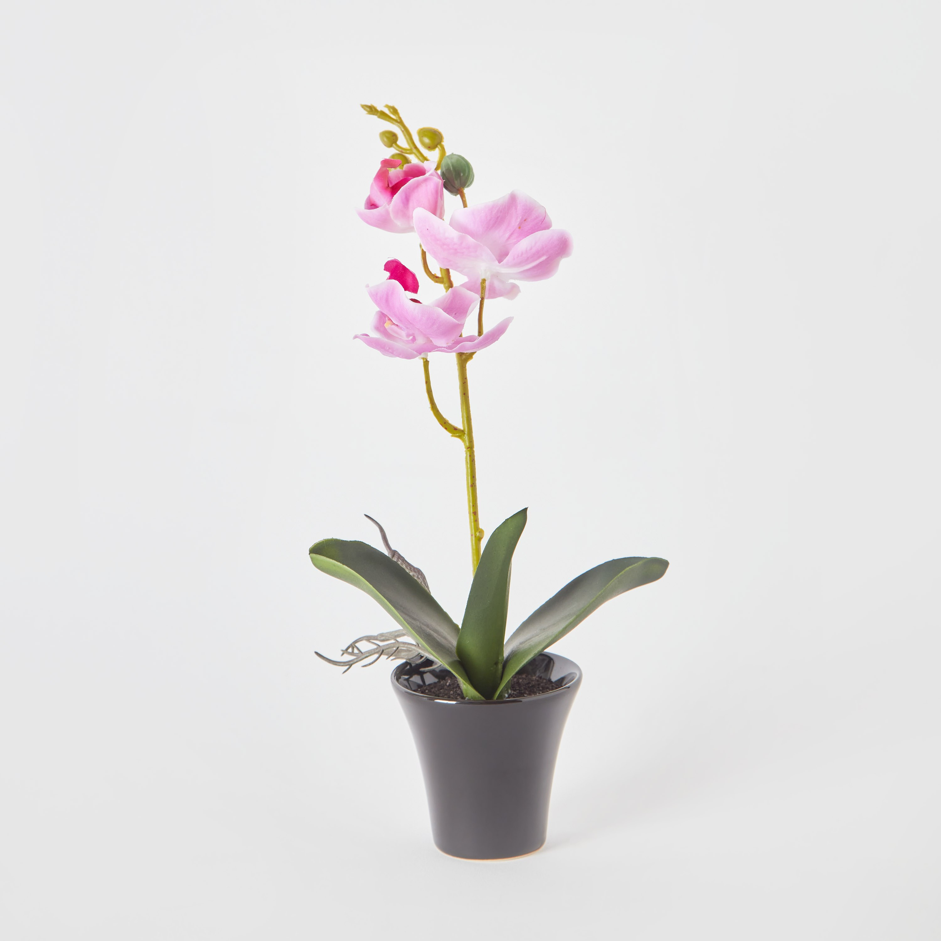 أزهار أوركيد في إناء زرع سيراميك من أليسا - 30 سم-hbxdecorandfurnishings-homeaccessories-artificialflowersandplants-image-5