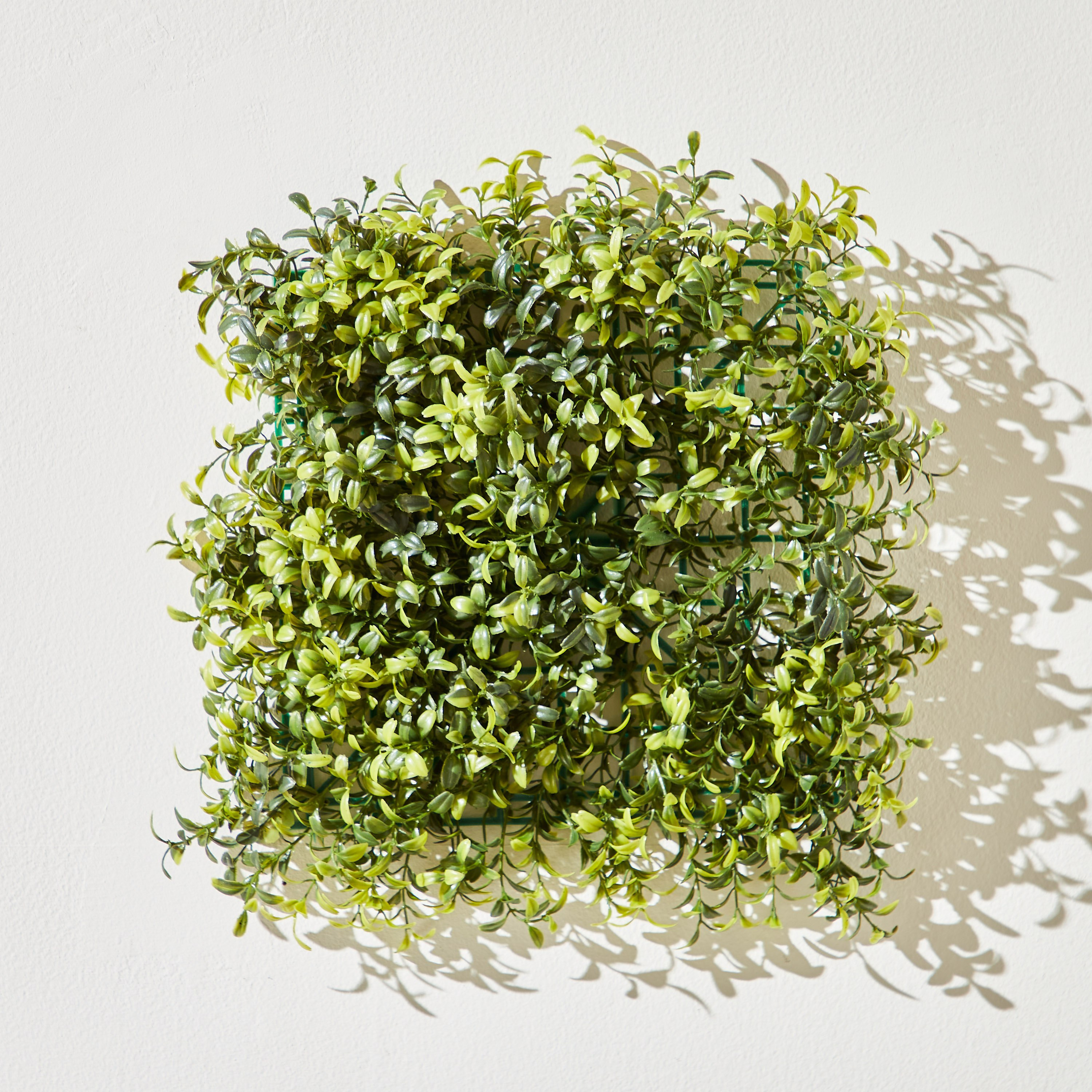 نبات أوكالبتوس مع سافانا - 26x26 سم-hbxdecorandfurnishings-homeaccessories-artificialflowersandplants-image-1