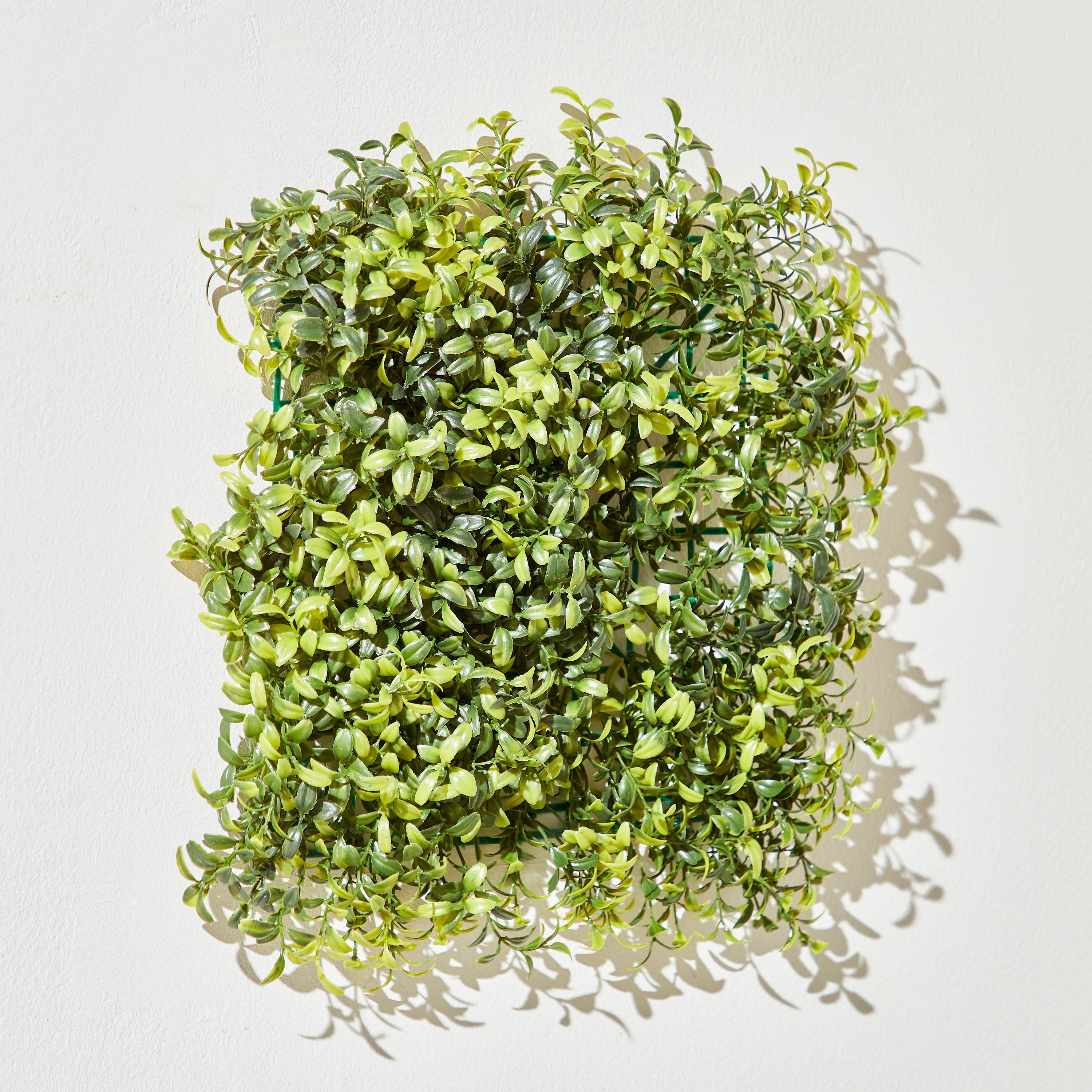 نبات أوكالبتوس مع سافانا - 26x26 سم-hbxdecorandfurnishings-homeaccessories-artificialflowersandplants-image-2