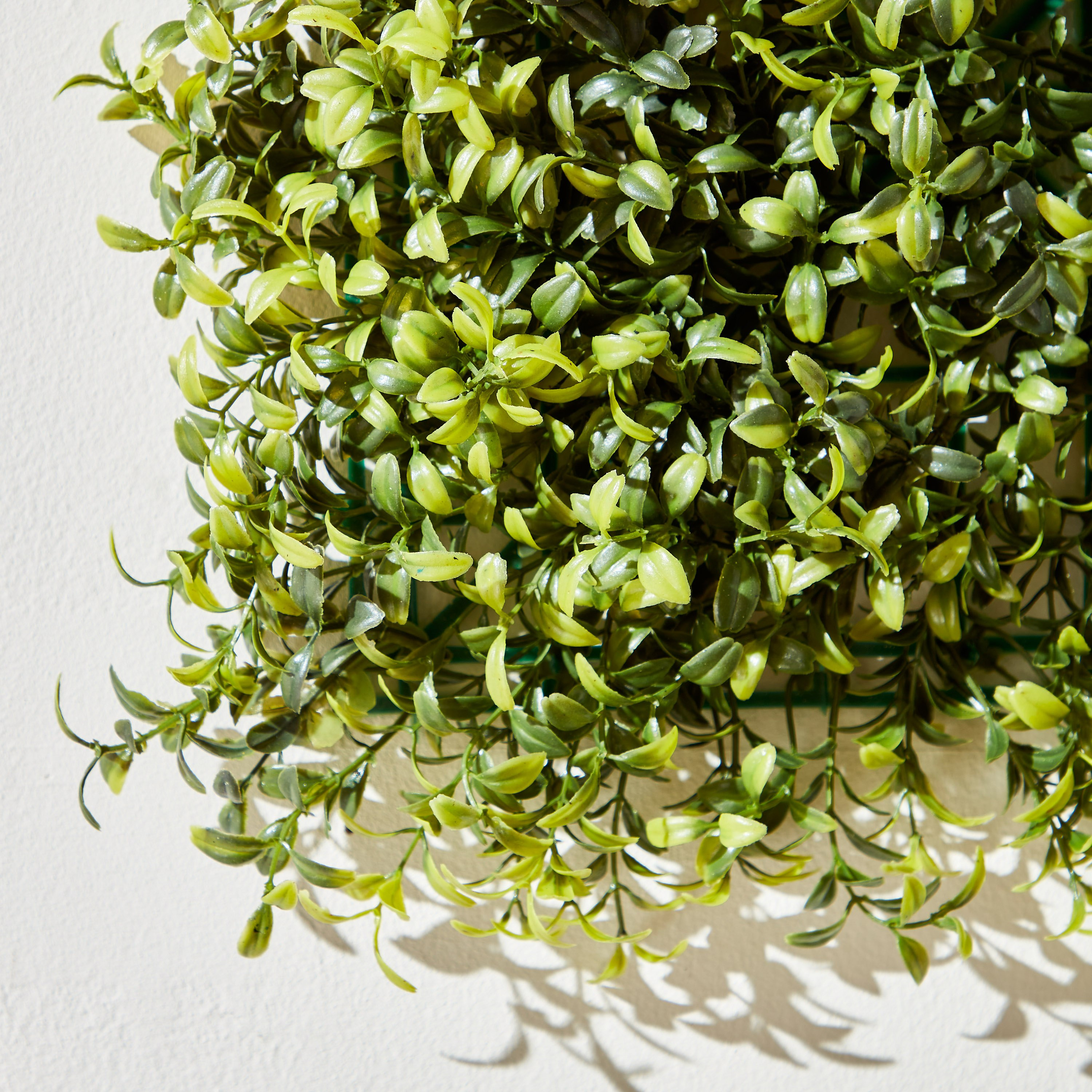 نبات أوكالبتوس مع سافانا - 26x26 سم-hbxdecorandfurnishings-homeaccessories-artificialflowersandplants-image-3