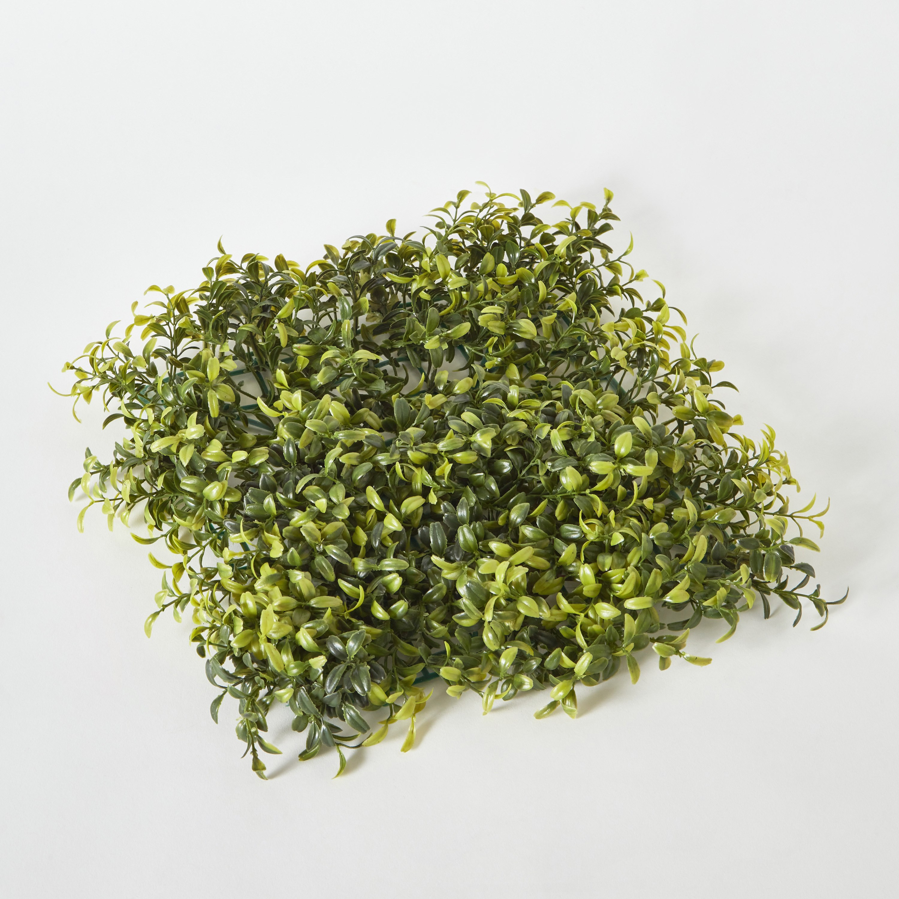 نبات أوكالبتوس مع سافانا - 26x26 سم-hbxdecorandfurnishings-homeaccessories-artificialflowersandplants-image-5