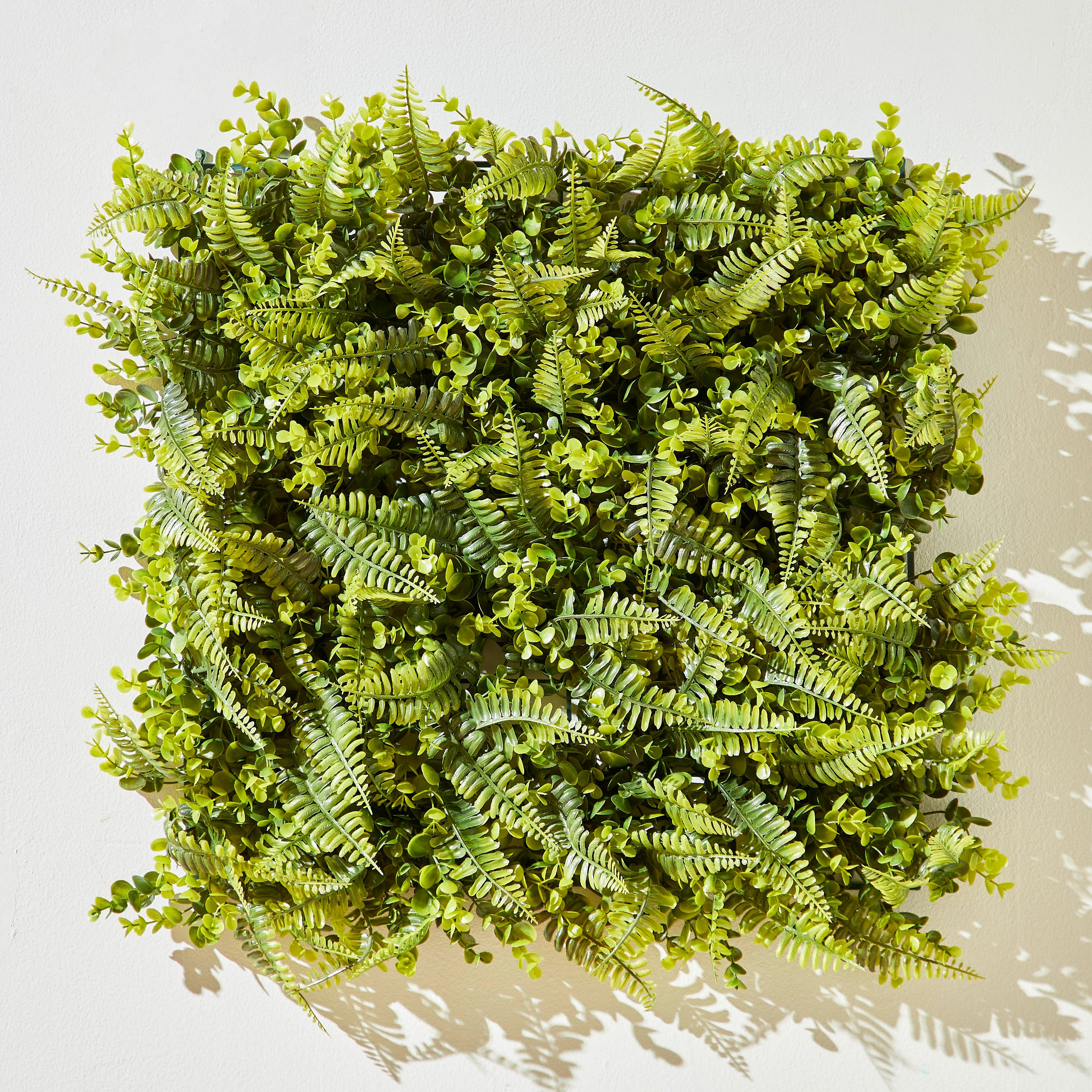 لوح نبات اصطناعي أوكالبتوس فارسي كبير من سافانا - 50x50 سم-hbxdecorandfurnishings-homeaccessories-artificialflowersandplants-image-1
