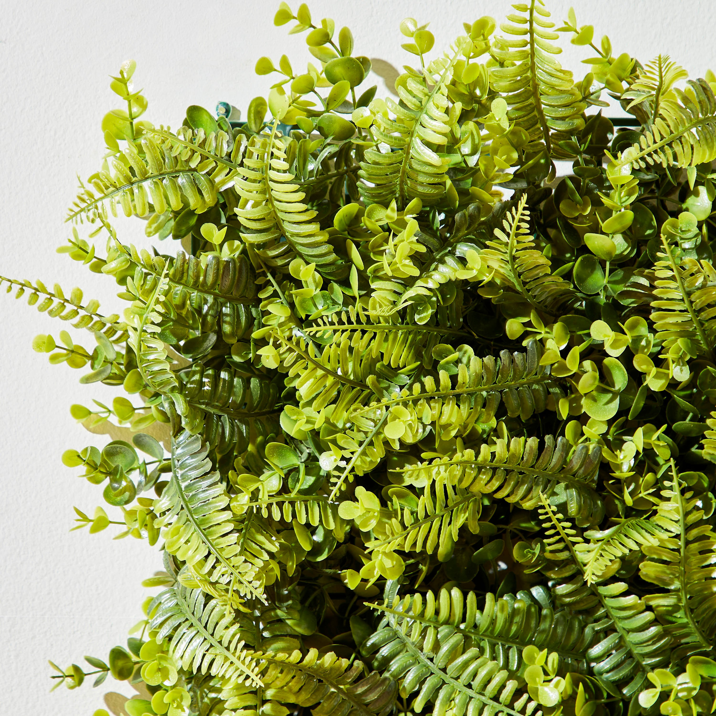 لوح نبات اصطناعي أوكالبتوس فارسي كبير من سافانا - 50x50 سم-hbxdecorandfurnishings-homeaccessories-artificialflowersandplants-image-3