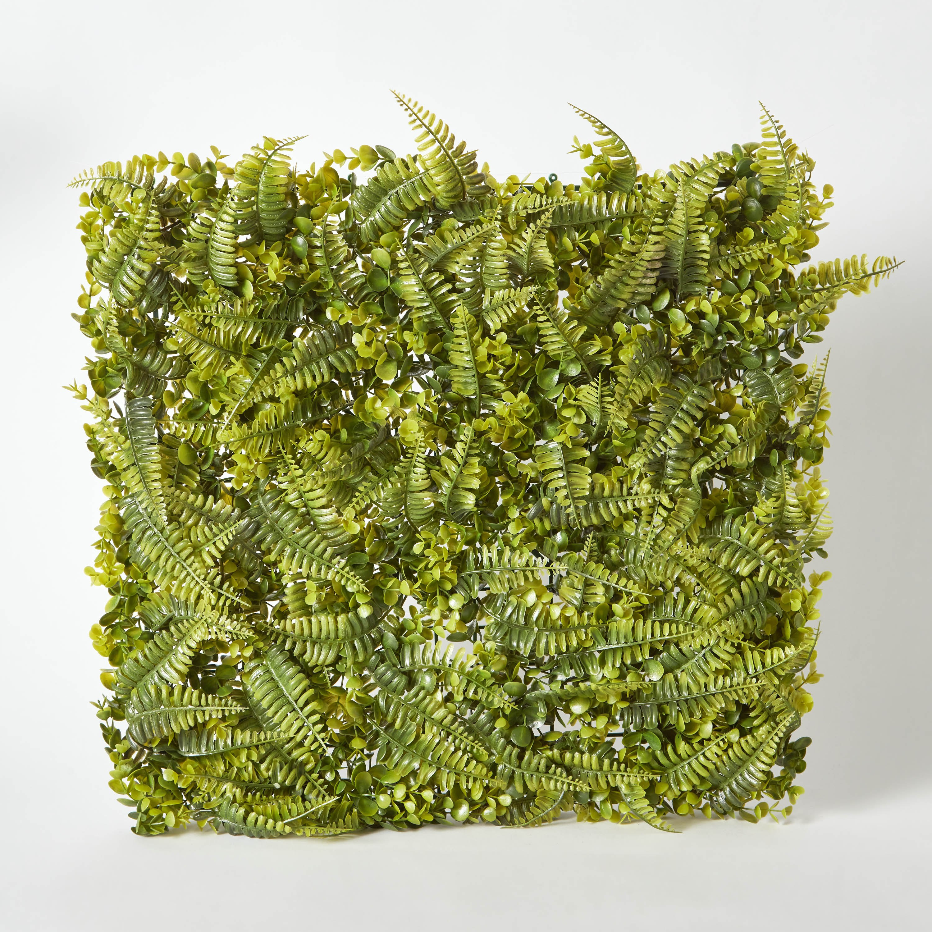 لوح نبات اصطناعي أوكالبتوس فارسي كبير من سافانا - 50x50 سم-hbxdecorandfurnishings-homeaccessories-artificialflowersandplants-image-5