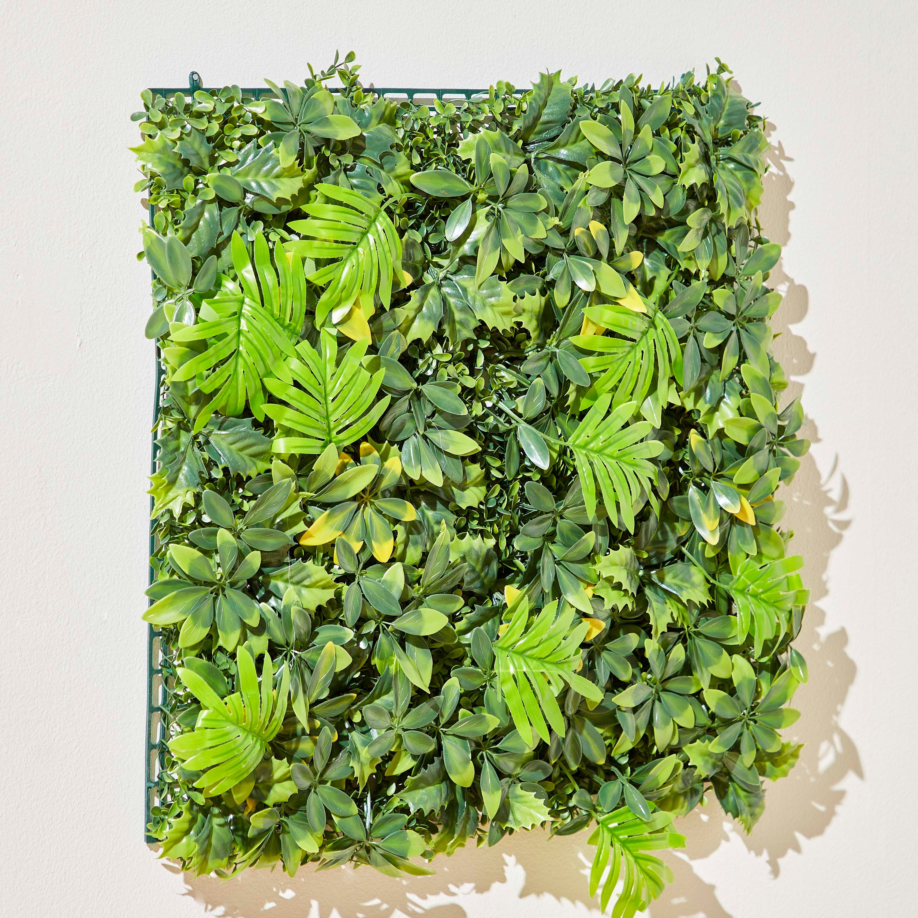 لوح نبات اصطناعي من سافانا - 50x50 سم-hbxdecorandfurnishings-homeaccessories-artificialflowersandplants-image-2