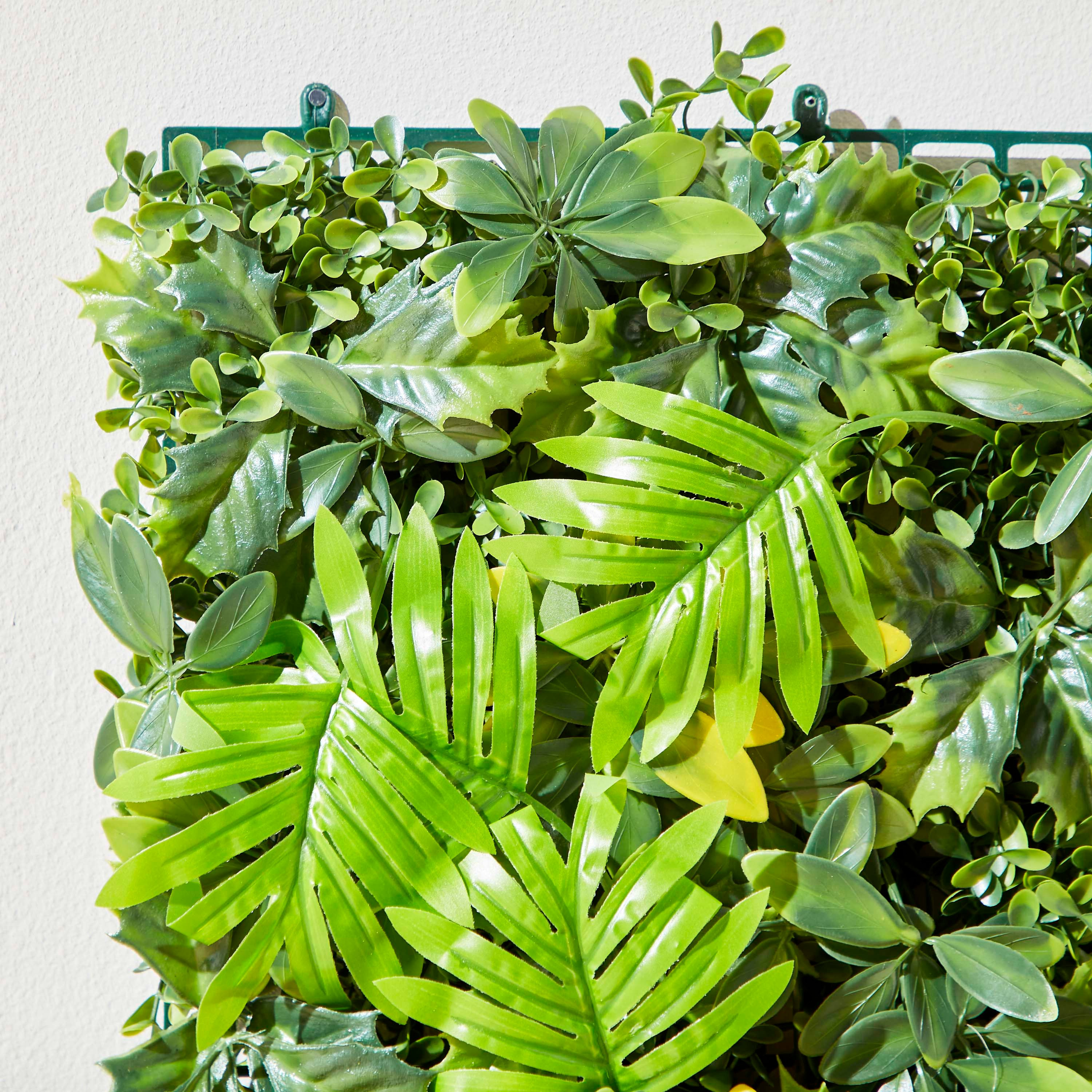 لوح نبات اصطناعي من سافانا - 50x50 سم-hbxdecorandfurnishings-homeaccessories-artificialflowersandplants-image-3