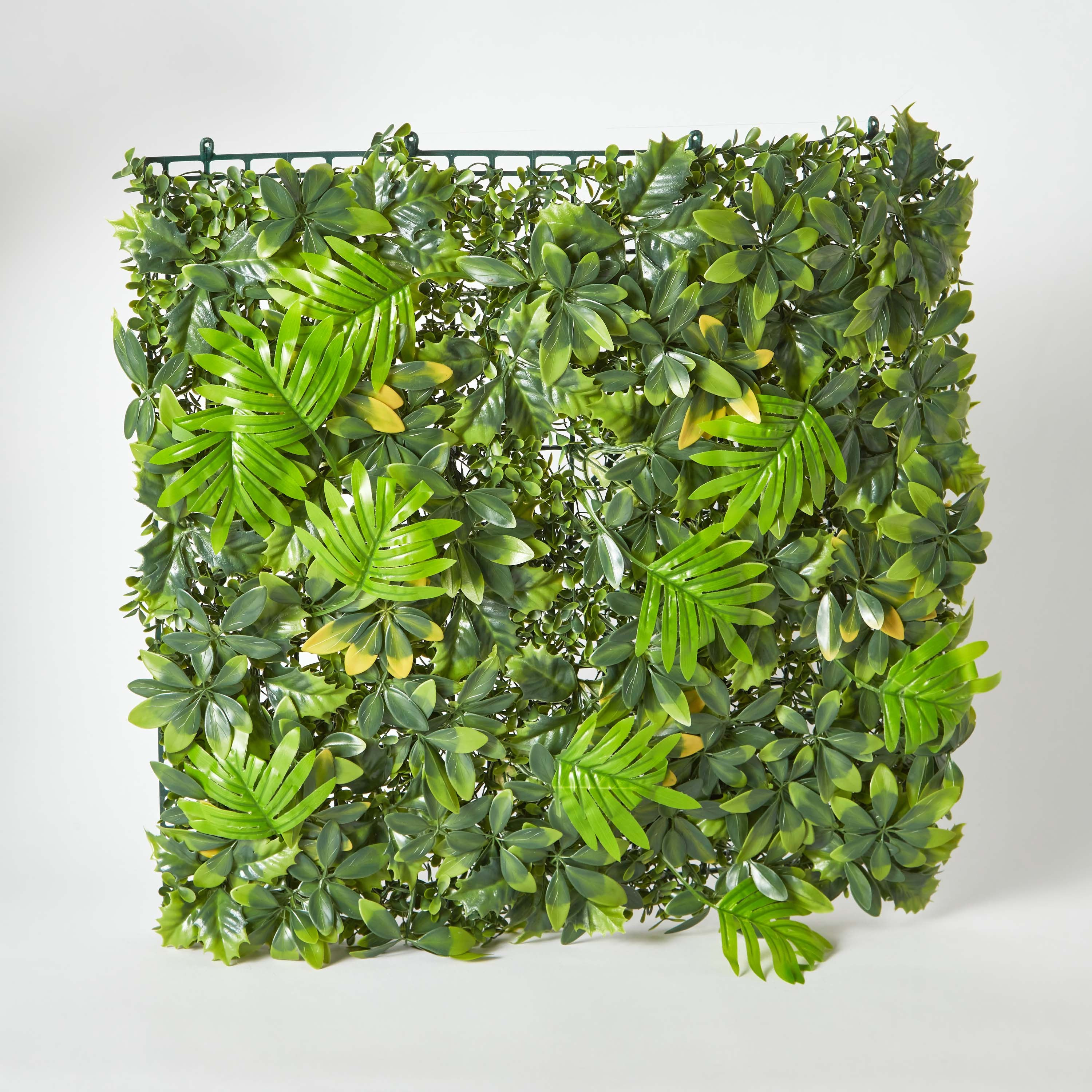 لوح نبات اصطناعي من سافانا - 50x50 سم-hbxdecorandfurnishings-homeaccessories-artificialflowersandplants-image-5