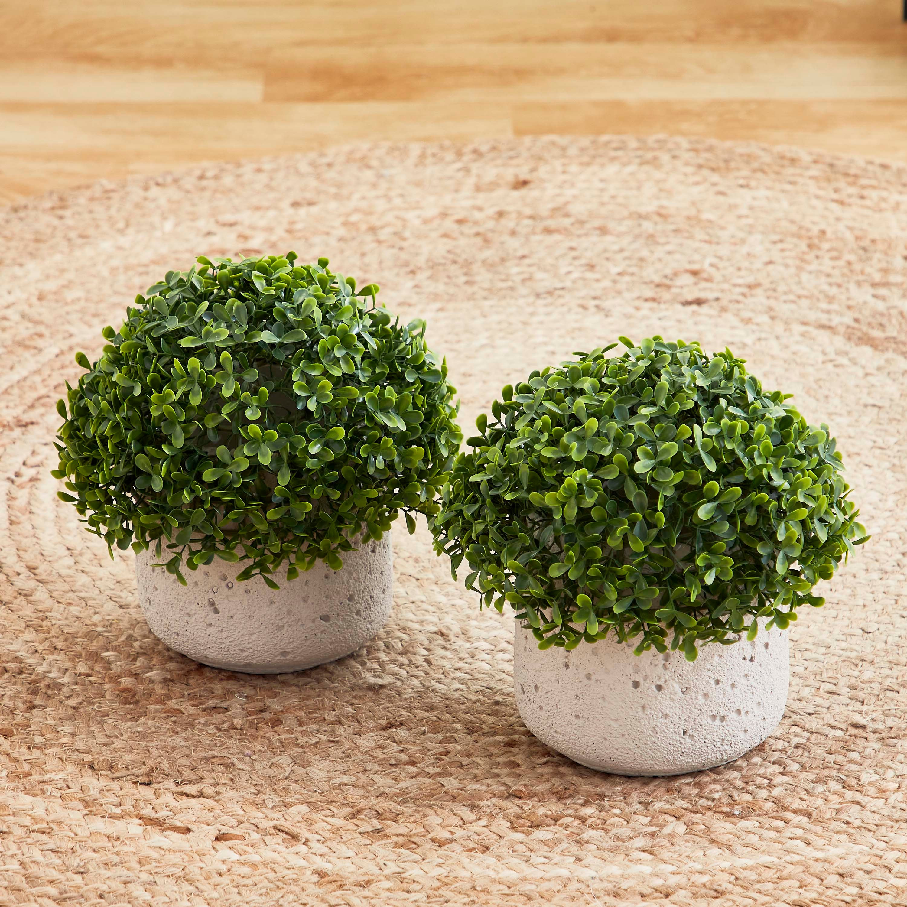 كرة نبات اصطناعي من سافانا - 25 سم-hbxdecorandfurnishings-homeaccessories-artificialflowersandplants-image-1