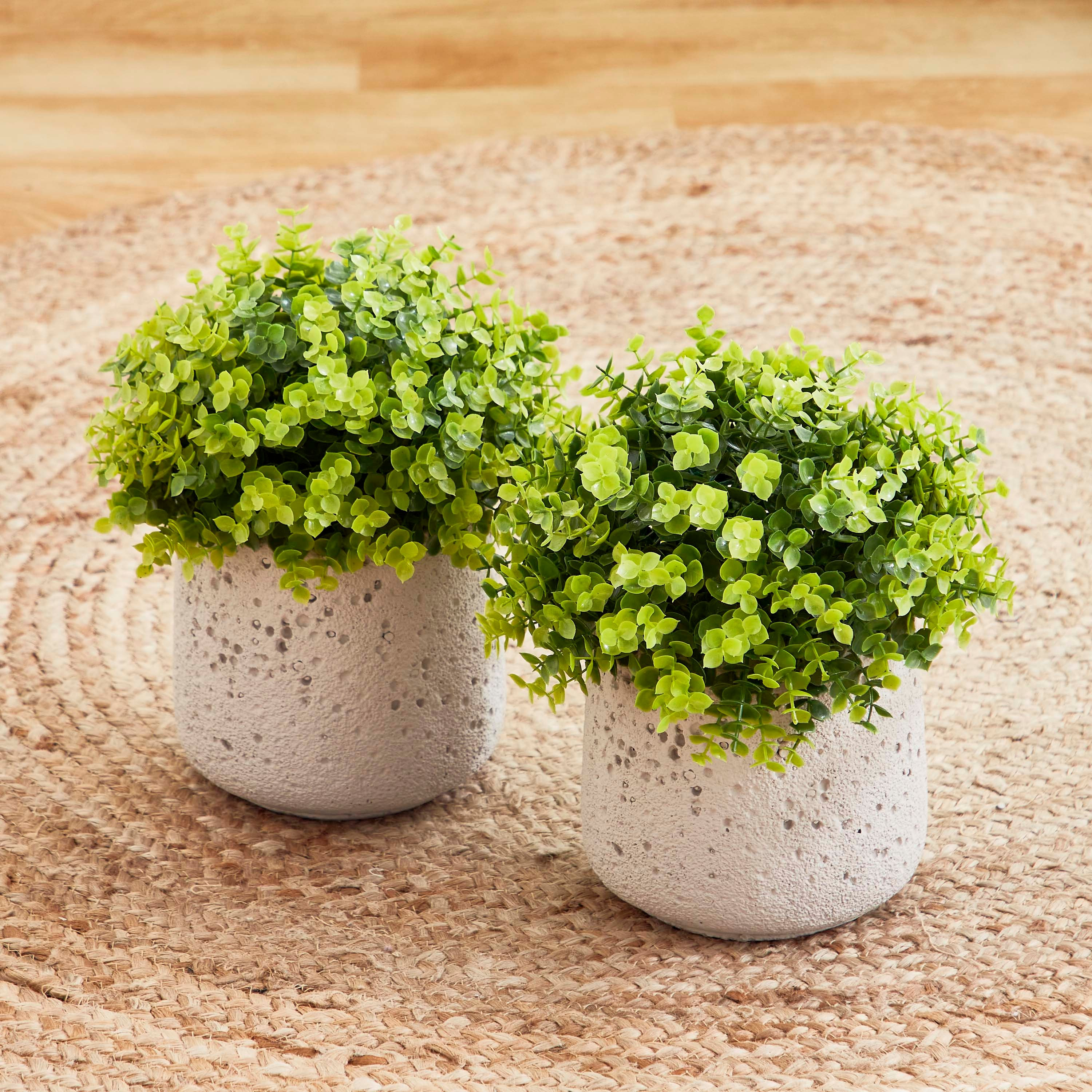 كرة نبات اصطناعي من سافانا - 25 سم-hbxdecorandfurnishings-homeaccessories-artificialflowersandplants-image-1