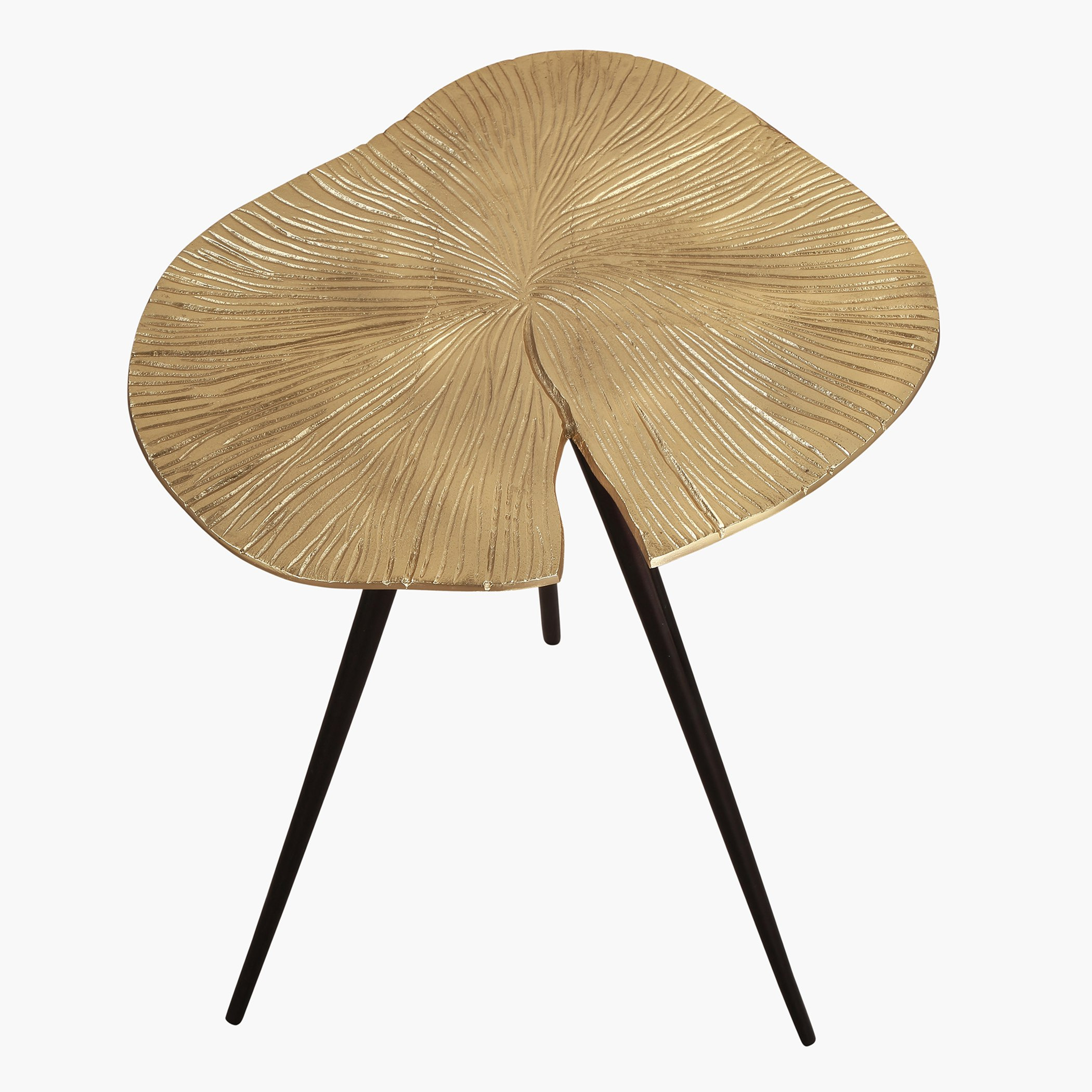 طاولة جانبية من المعدن - دوبلن راي من فيندرا-hbxfurniture-livingroom-endtables-image-2