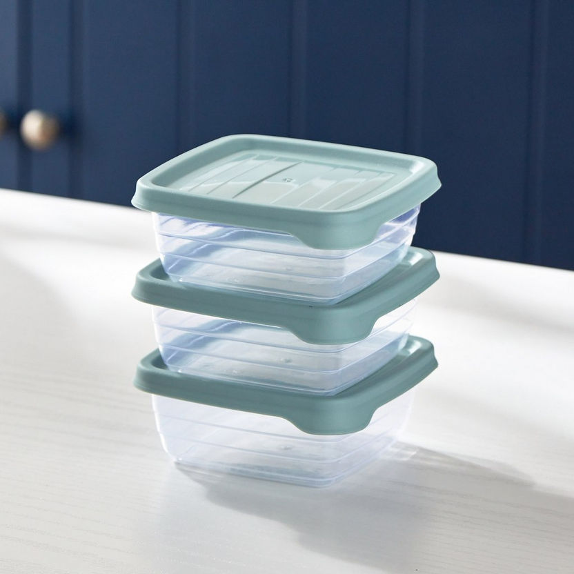 Spectra 3-Piece Food Storage Set - 300 ml-Containers and Jars-image-1