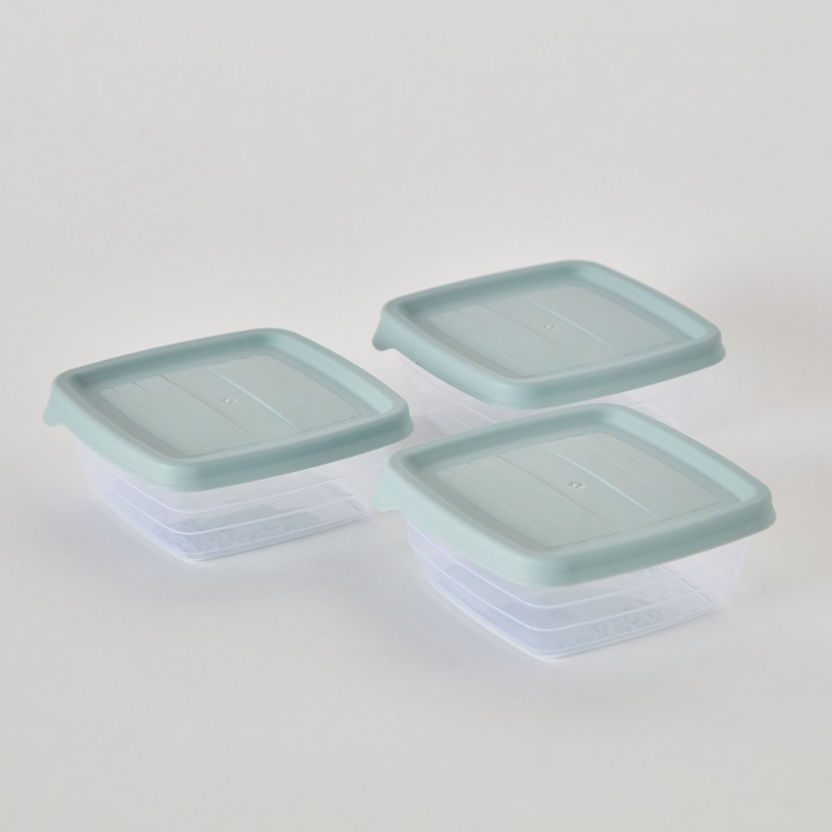 Spectra 3-Piece Food Storage Set - 300 ml-Containers and Jars-image-5