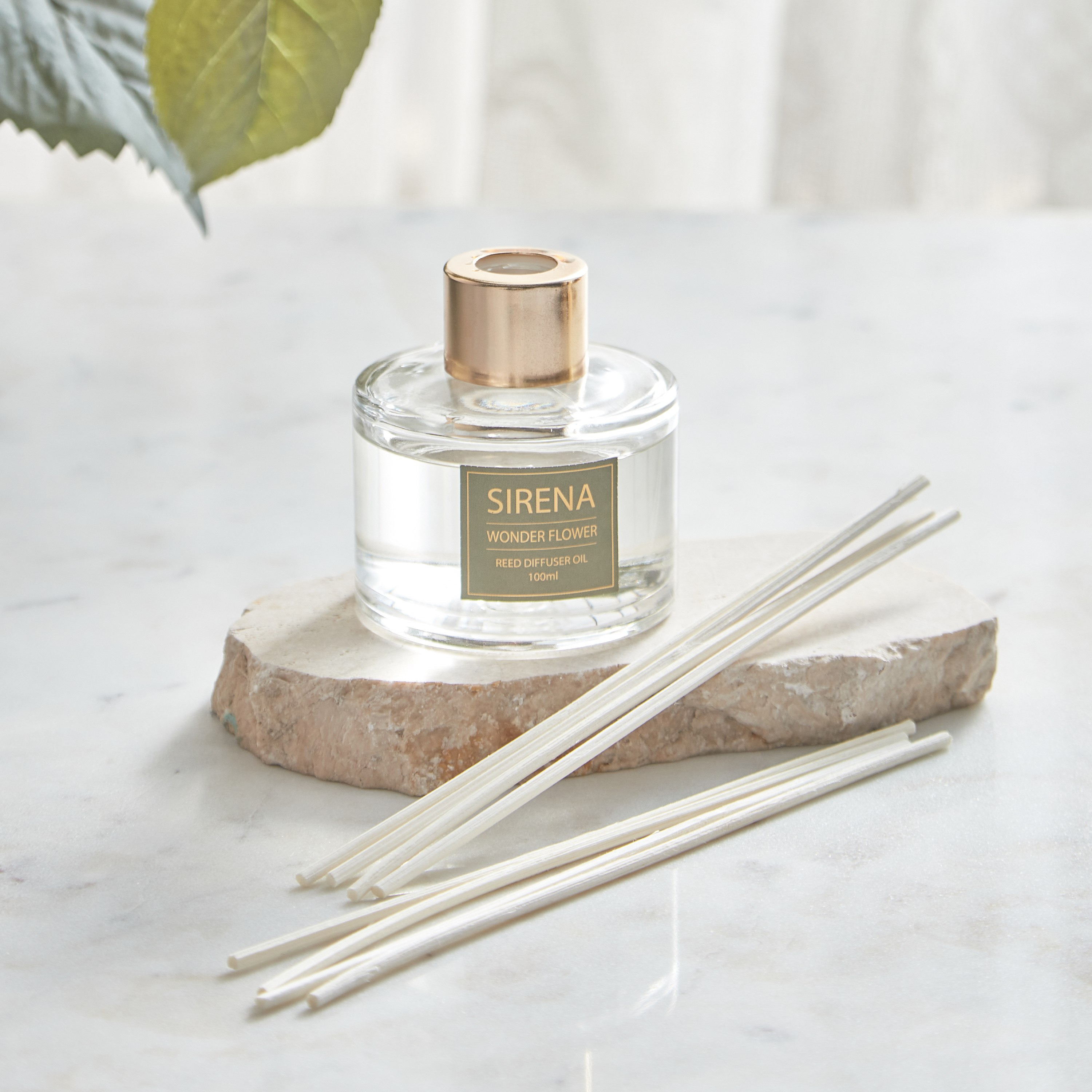 مجموعة زيت موزع عطور بالأعواد فيوتشر إدن واندر فلاور من سيرينا - 100 مل-hbxbedroom-homefragrance-diffusers-image-1