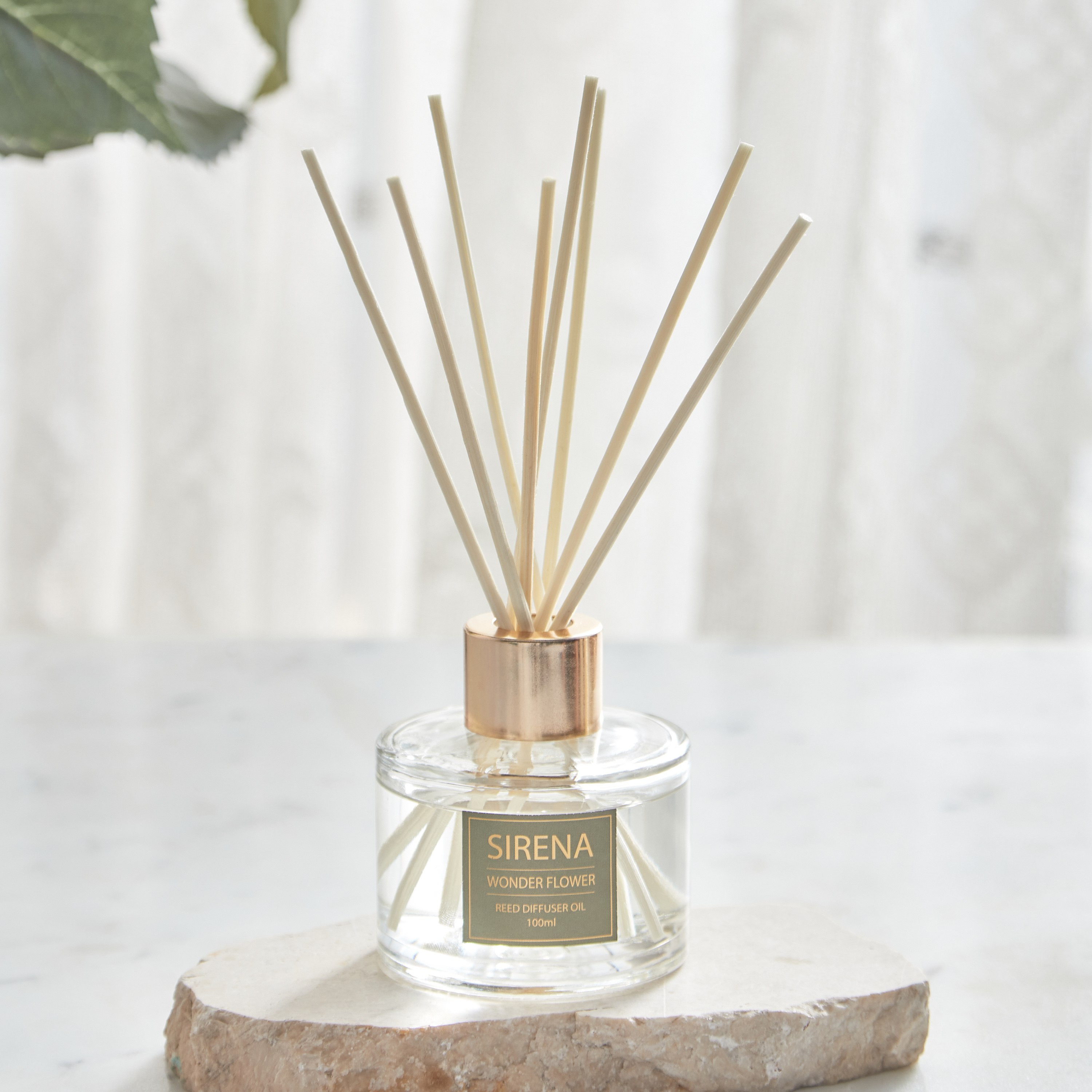 مجموعة زيت موزع عطور بالأعواد فيوتشر إدن واندر فلاور من سيرينا - 100 مل-hbxbedroom-homefragrance-diffusers-image-2