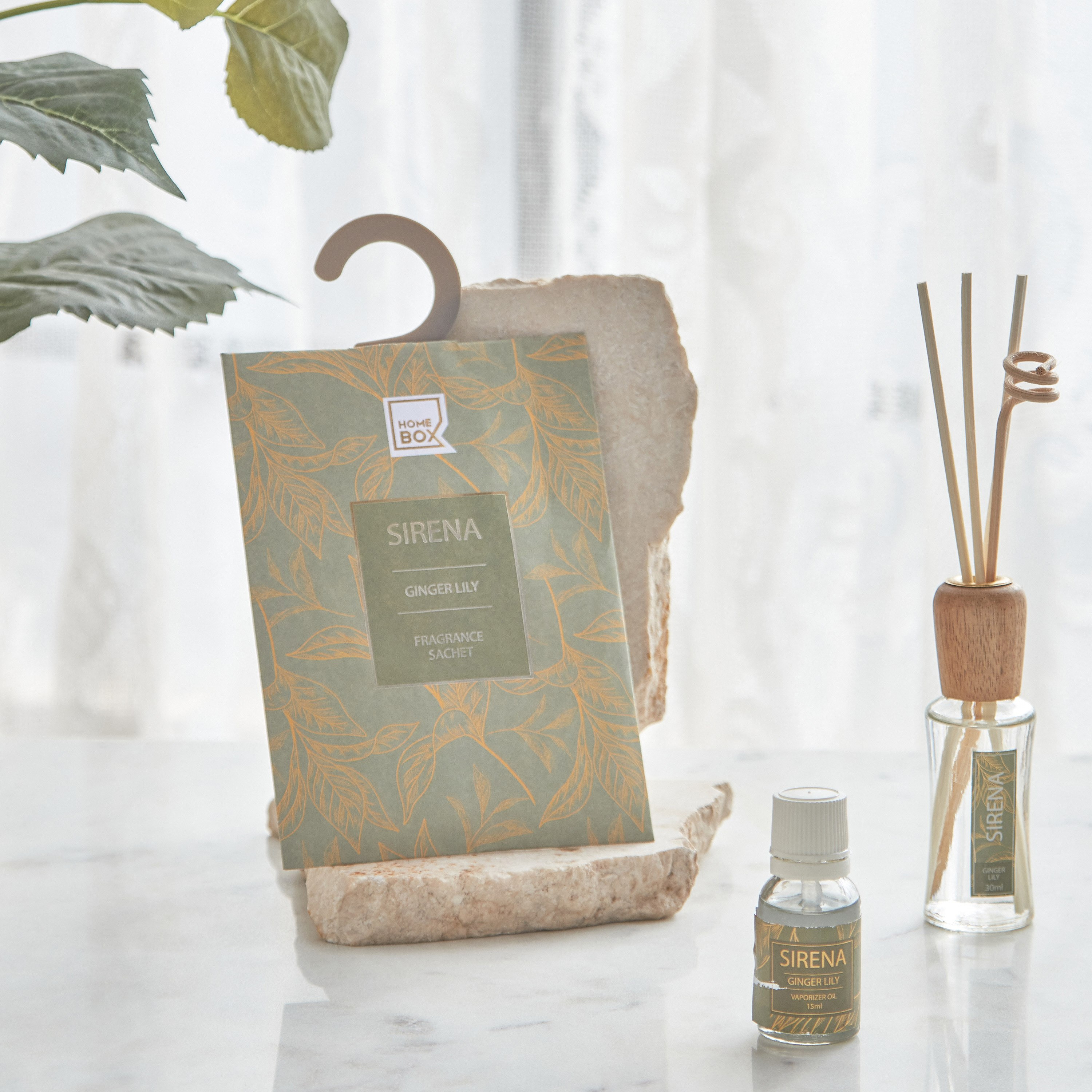 زيت مبخرة فيوتشر إدن جينجر لي لي من سيرينا - 15 مل-hbxlivingroom-decorandaccessories-homefragrance-revitalizersandhumidifiers-image-4