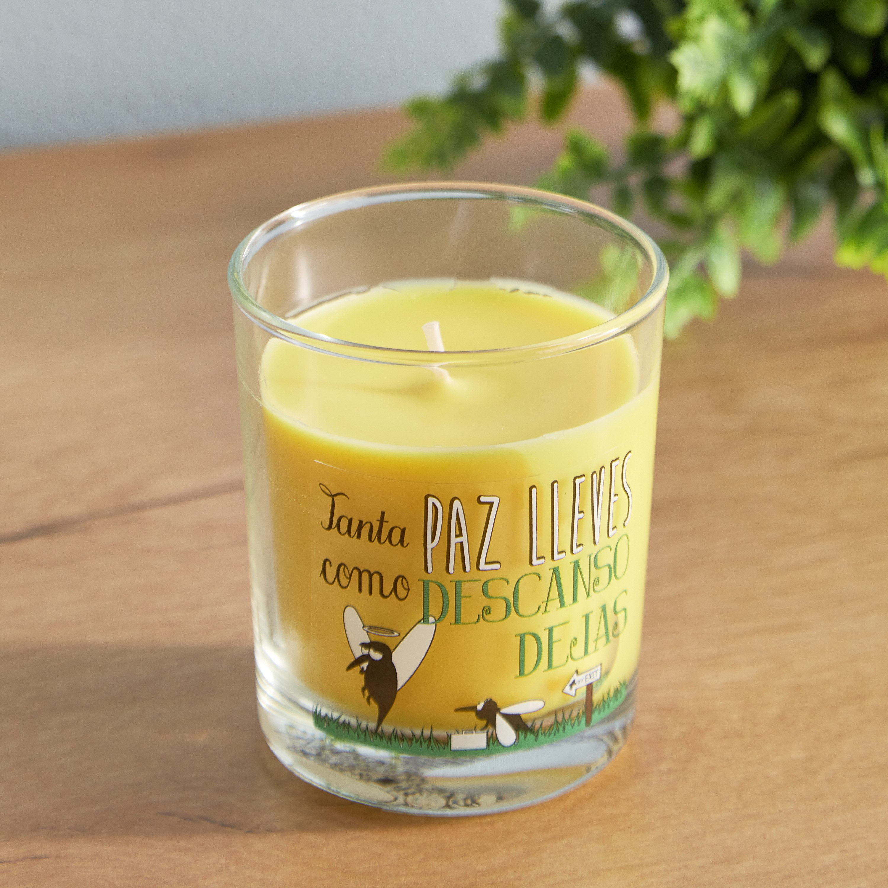 Vela Citronella Scented Jar Candle - 110 g-hbxlivingroom-decorandaccessories-candles-image-1