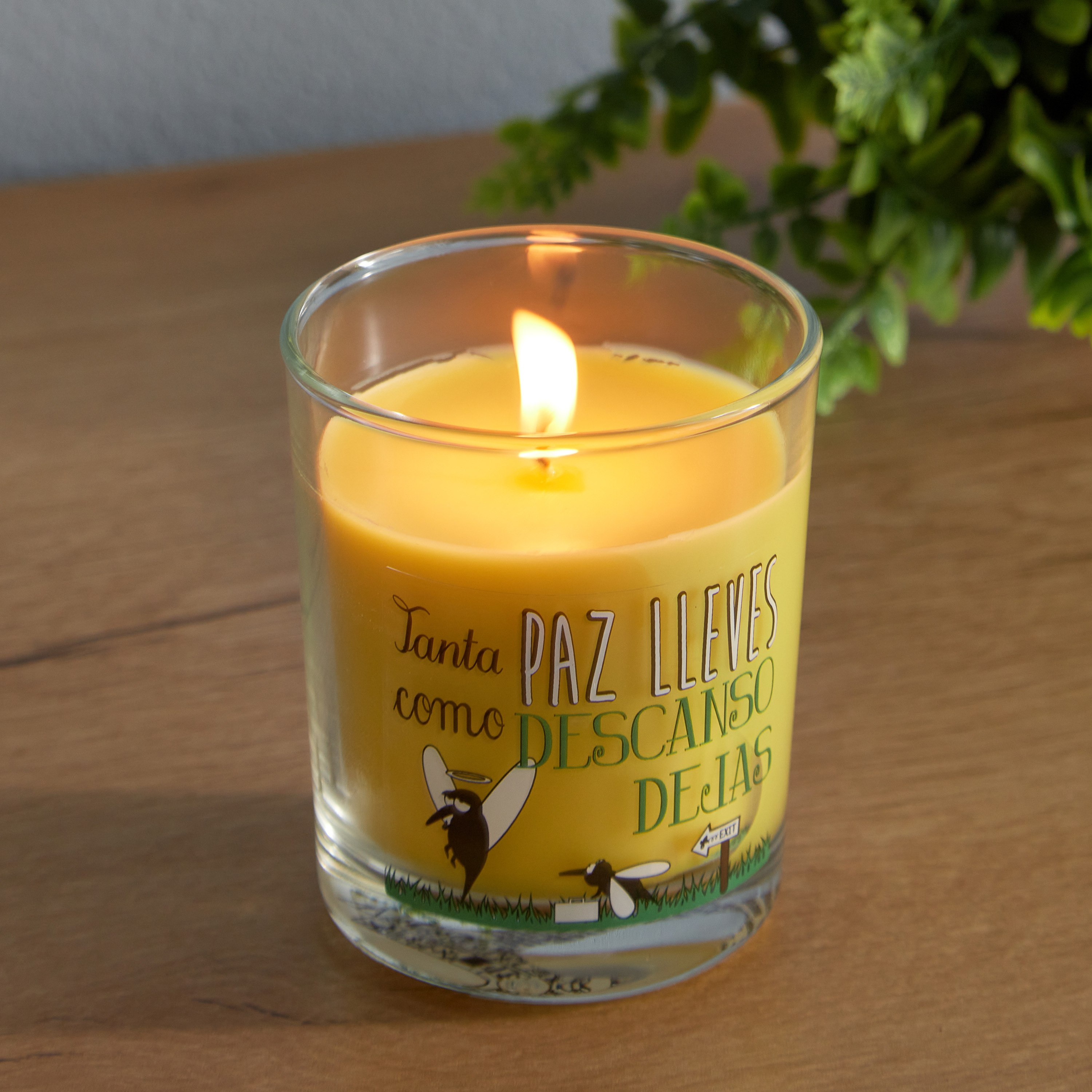 Vela Citronella Scented Jar Candle - 110 g-hbxlivingroom-decorandaccessories-candles-image-2