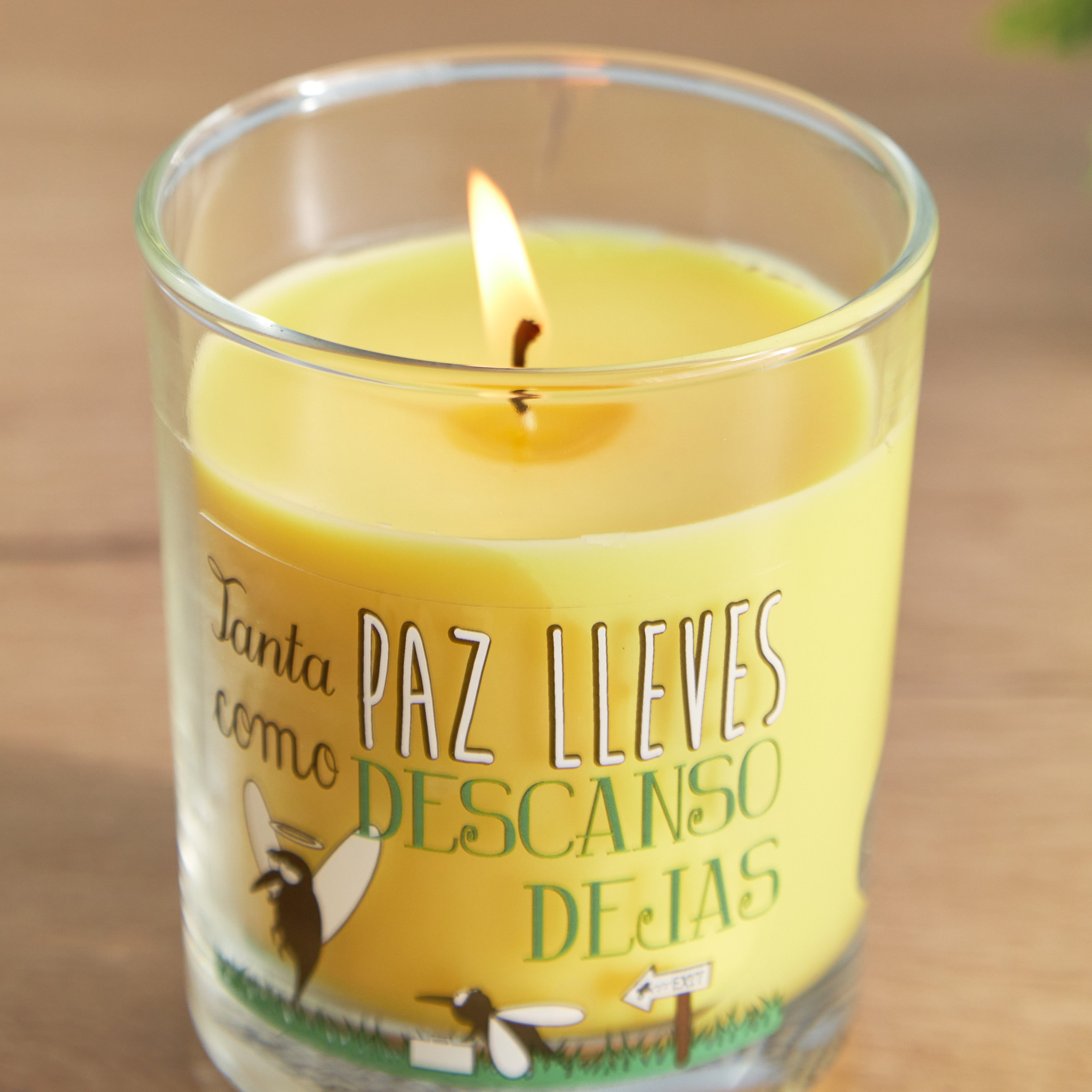 Vela Citronella Scented Jar Candle - 110 g-hbxlivingroom-decorandaccessories-candles-image-3