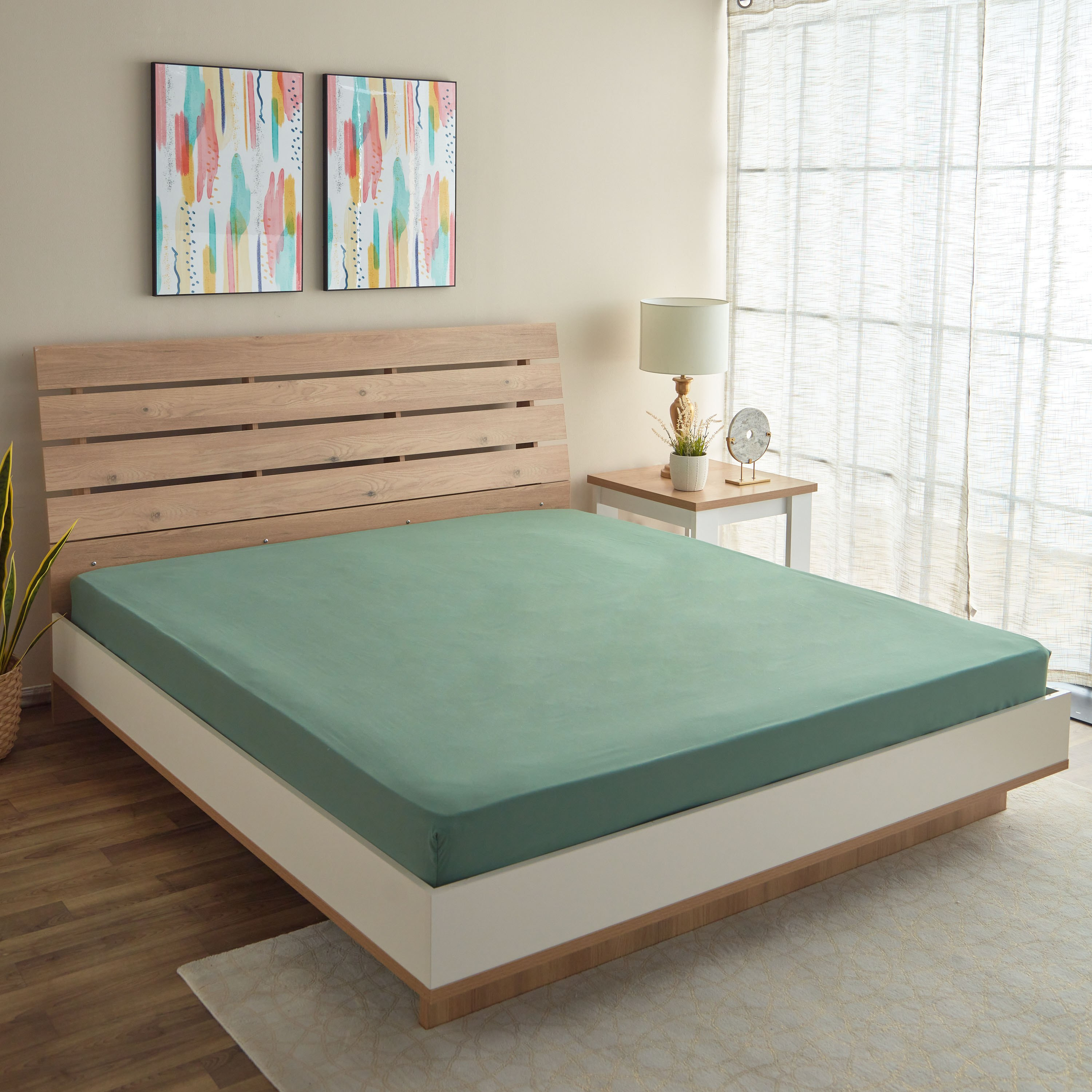 شرشف مطاطي أولمبيك كوين سادة من الألياف الدقيقة من ديربي - 160x200+25 سم-hbxhomeware-bedding-fittedsheets-image-1