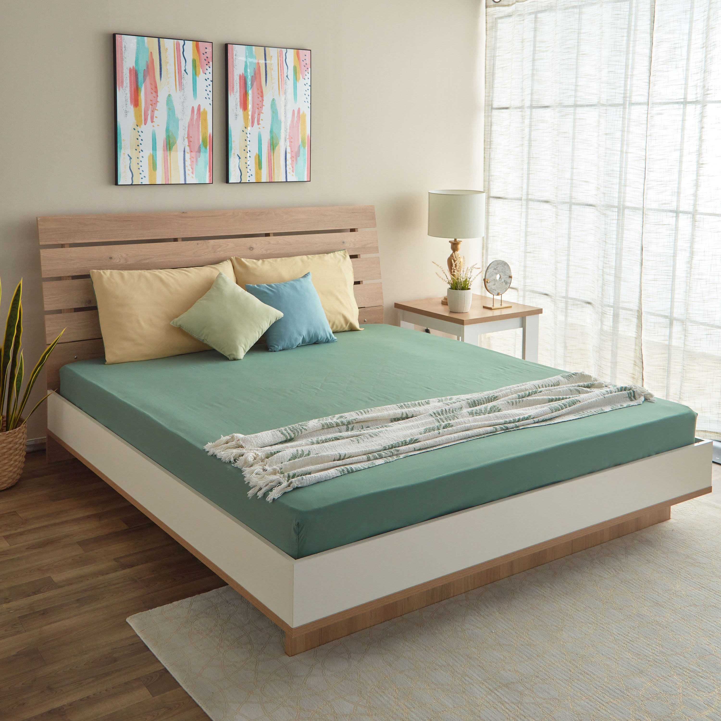شرشف مطاطي أولمبيك كوين سادة من الألياف الدقيقة من ديربي - 160x200+25 سم-hbxhomeware-bedding-fittedsheets-image-8