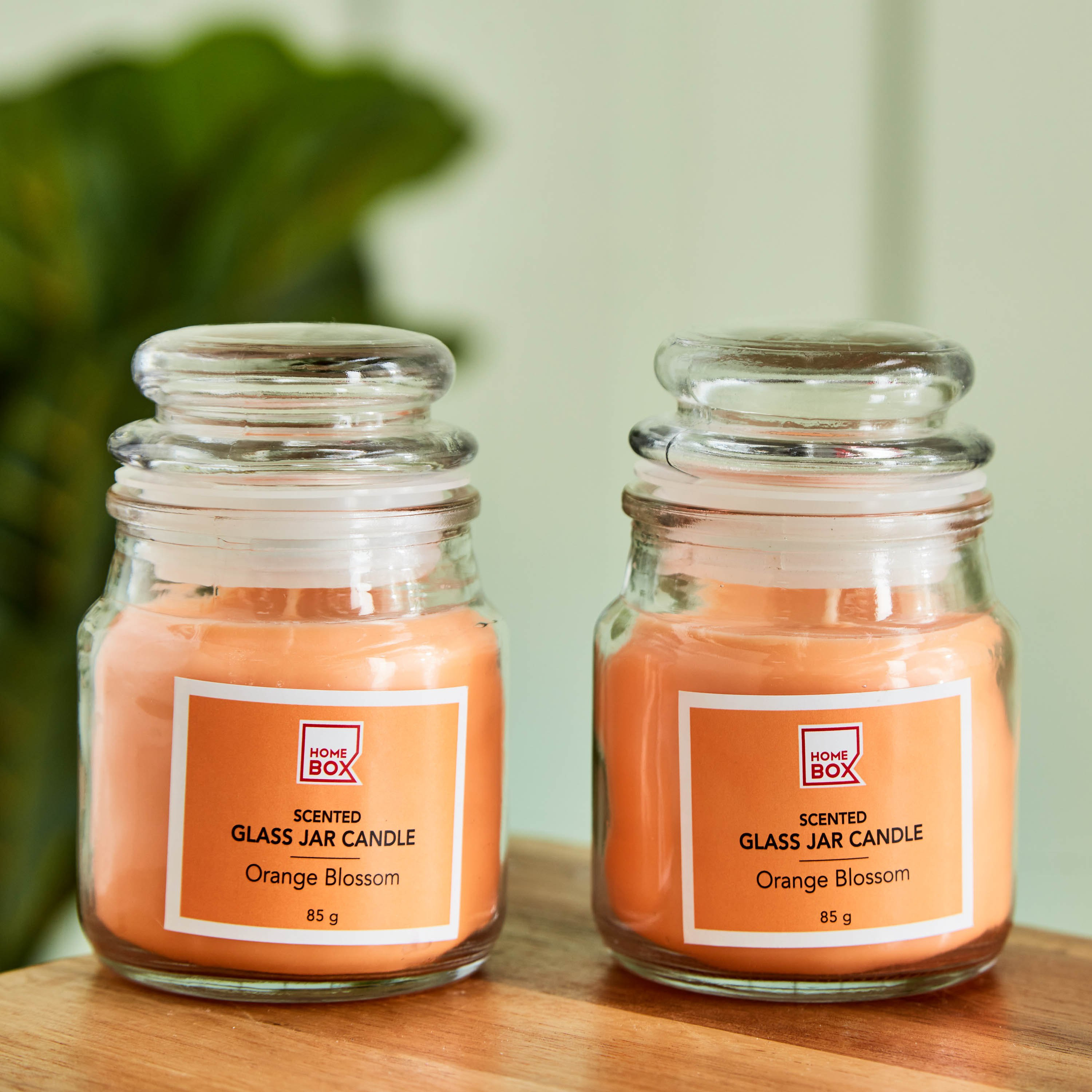 شموع جرة بزهر البرتقال قطعتين من أودري - 85 جم-hbxlivingroom-decorandaccessories-candles-image-1