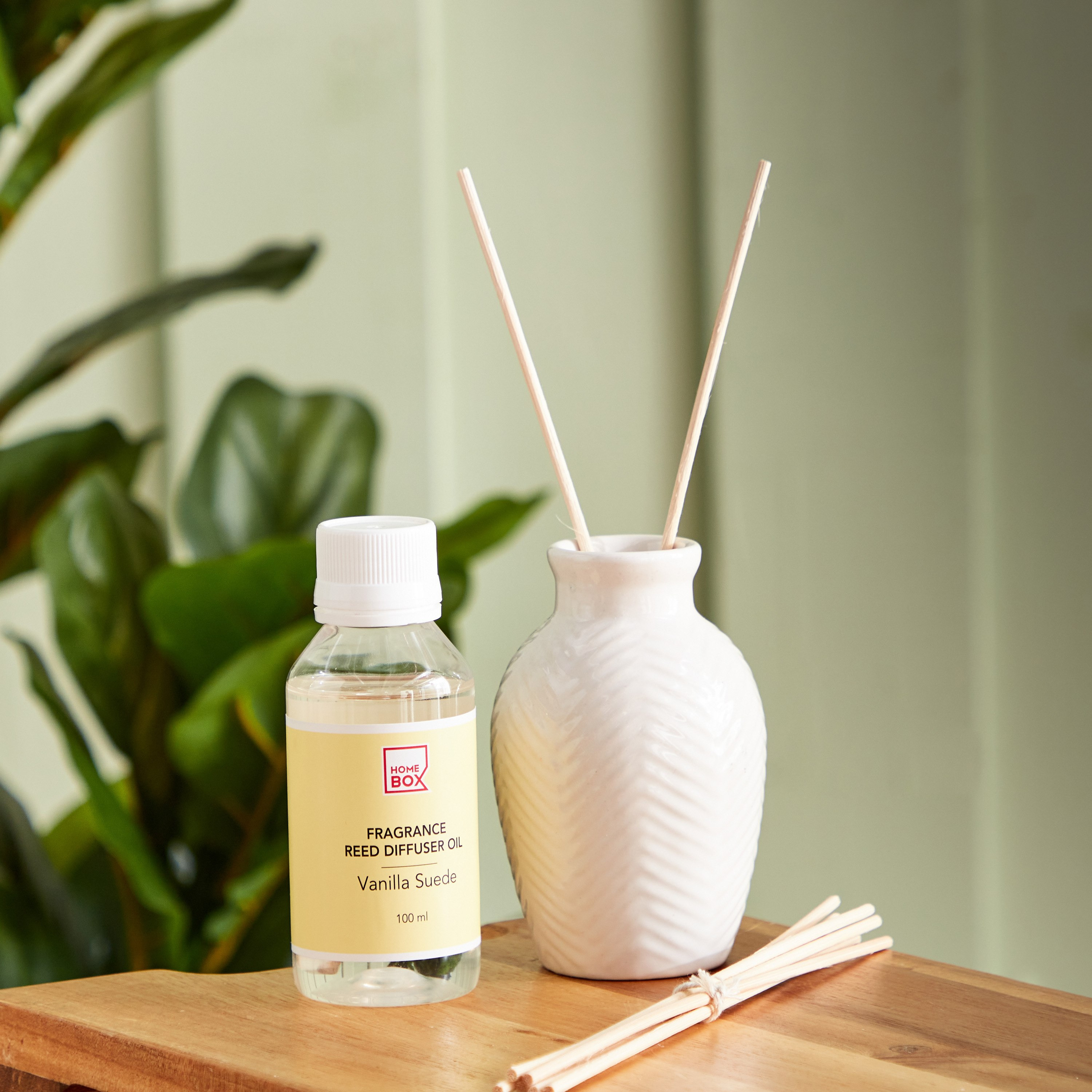 Audrey Vanilla Reed Diffuser - 100 ml-PROMO_HB_AE_B2G2_011025-image-1