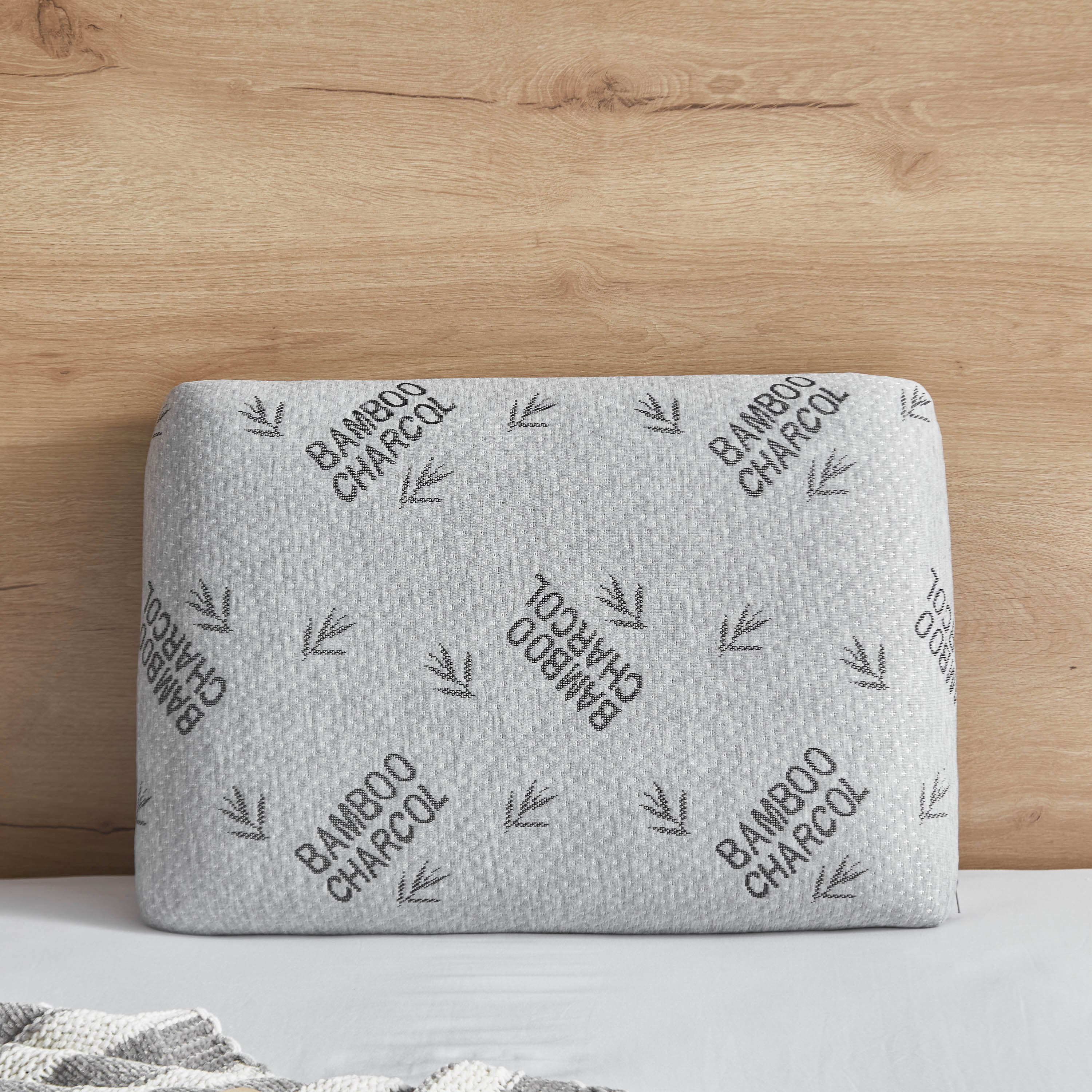 Swiss bamboo outlet pillow