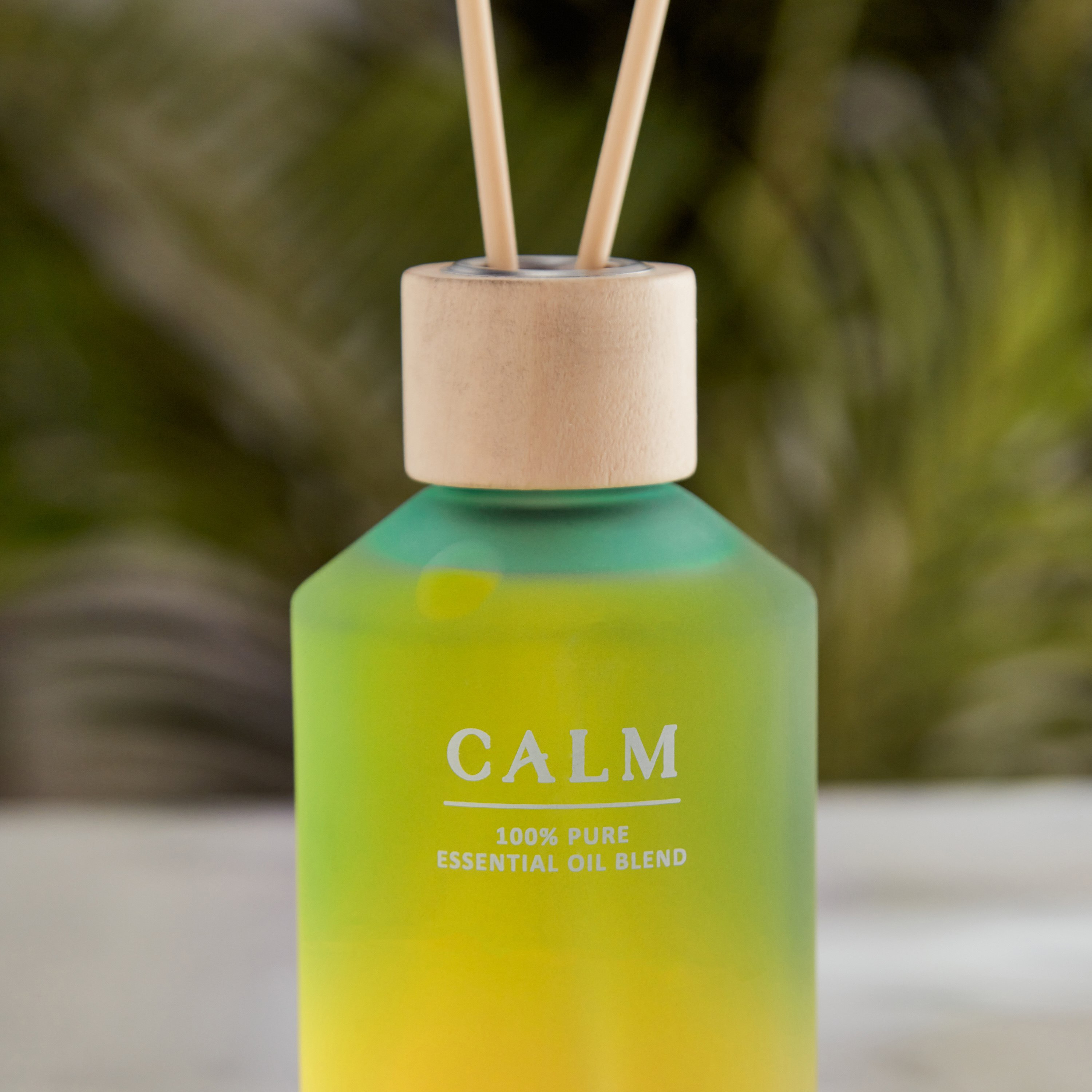 Nourish Calm Reed Diffuser - 200 ml-PROMO_HB_AE_B2G2_011025-image-2