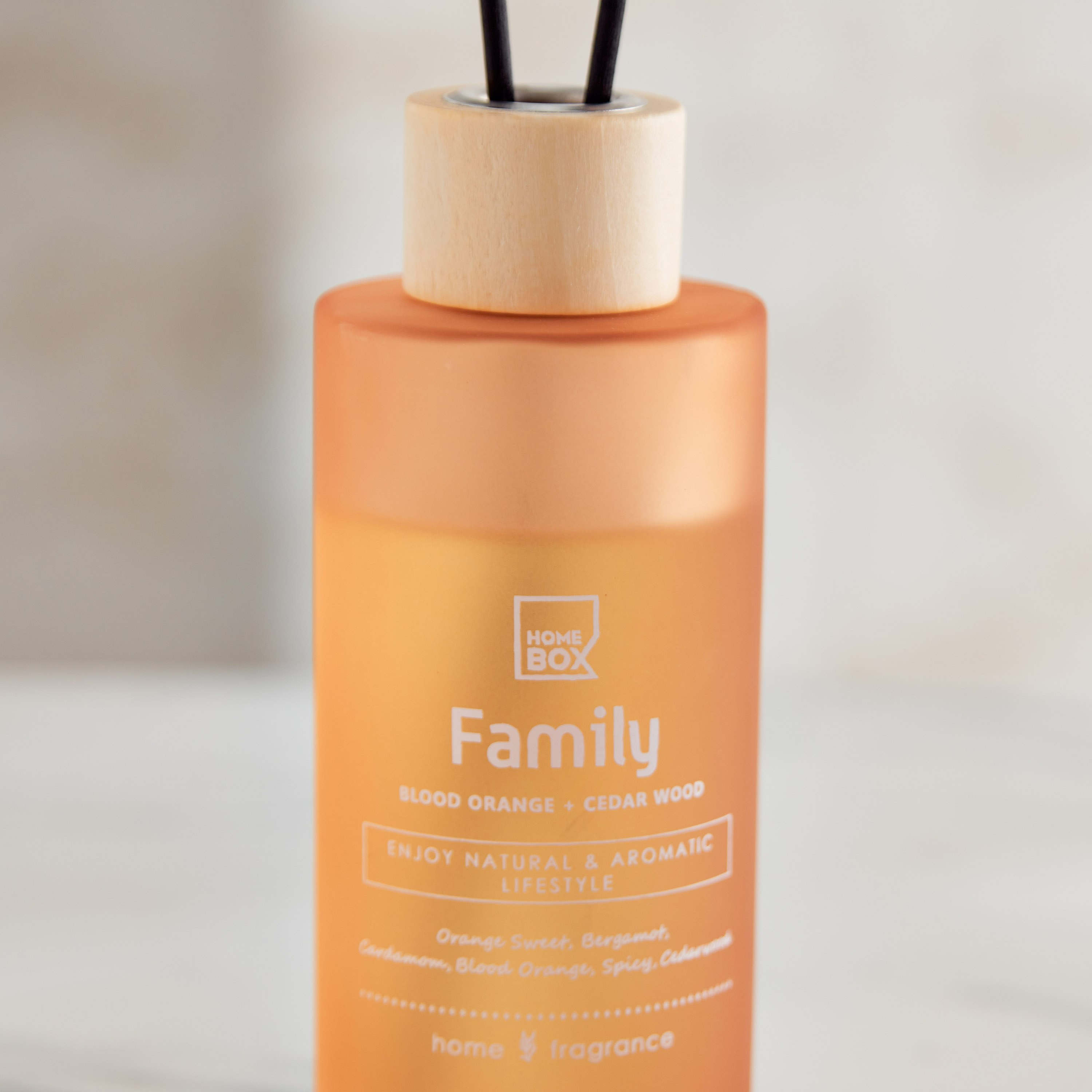 Sentiment Family Reed Diffuser in Frosted Glass - 160 ml-PROMO_HB_AE_B2G2_011025-image-2