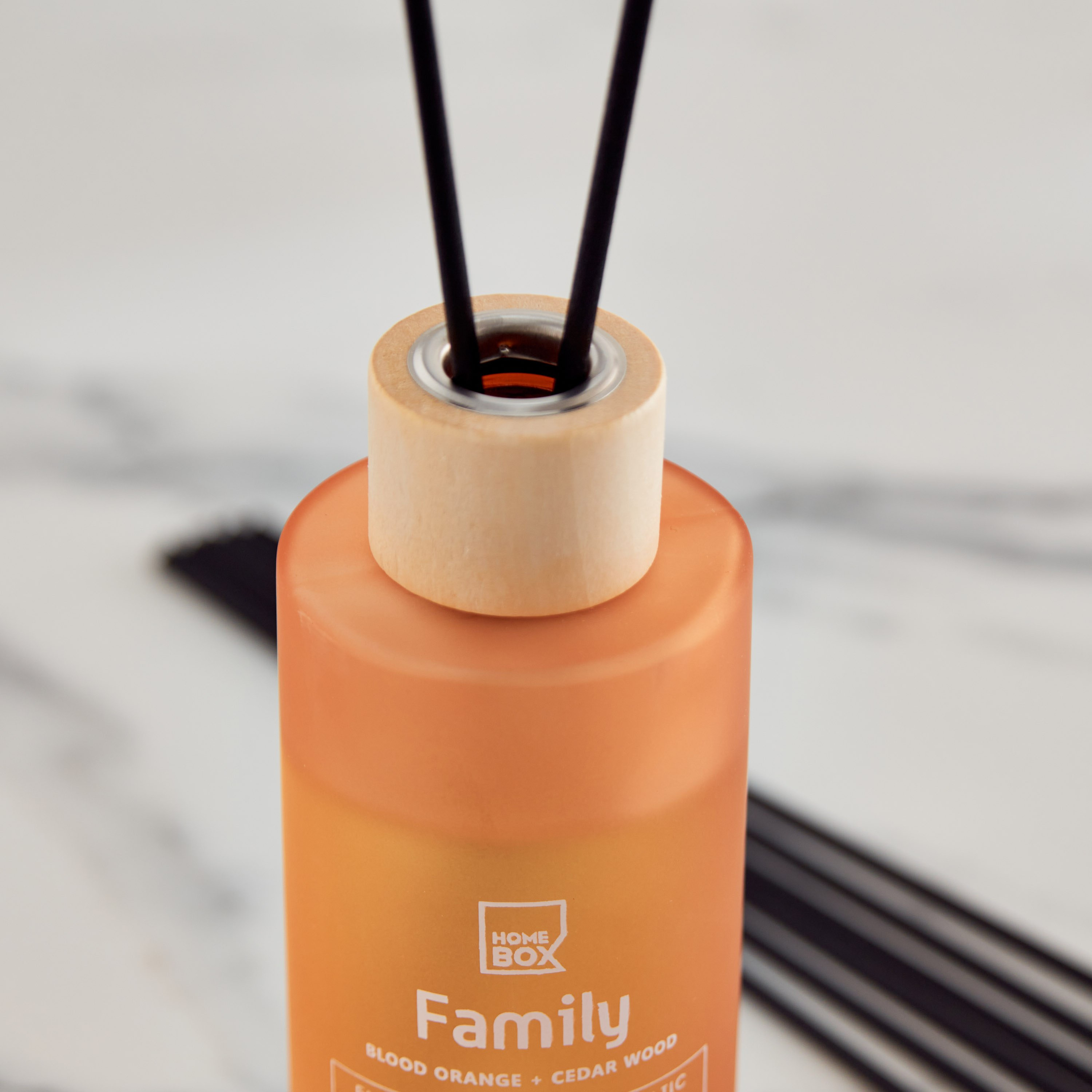 Sentiment Family Reed Diffuser in Frosted Glass - 160 ml-PROMO_HB_AE_B2G2_011025-image-3