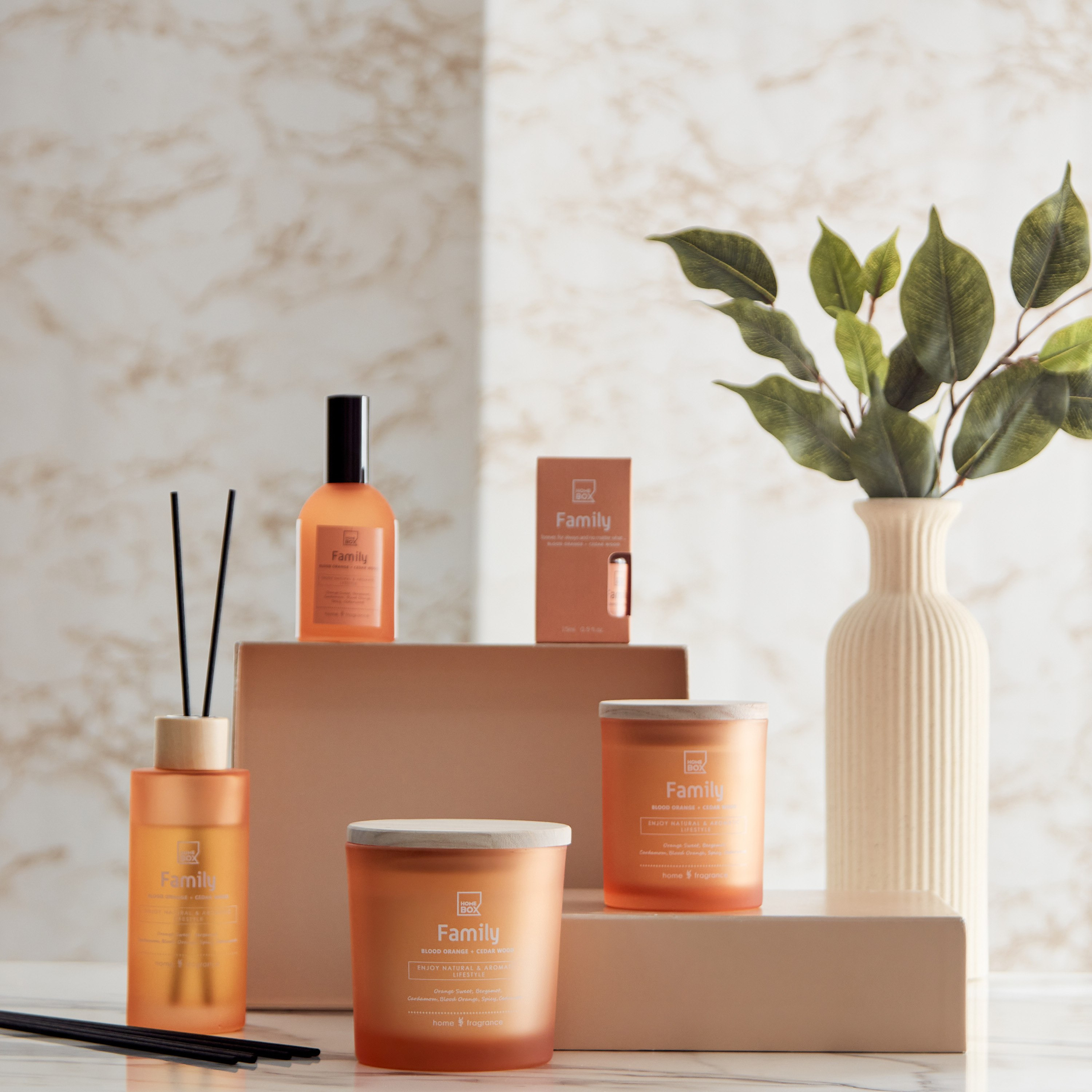 زيت عطري فاميلي من سنتمنت - 15 مل-hbxdecorandfurnishings-homefragrance-roomfreshnersandaromamist-image-3