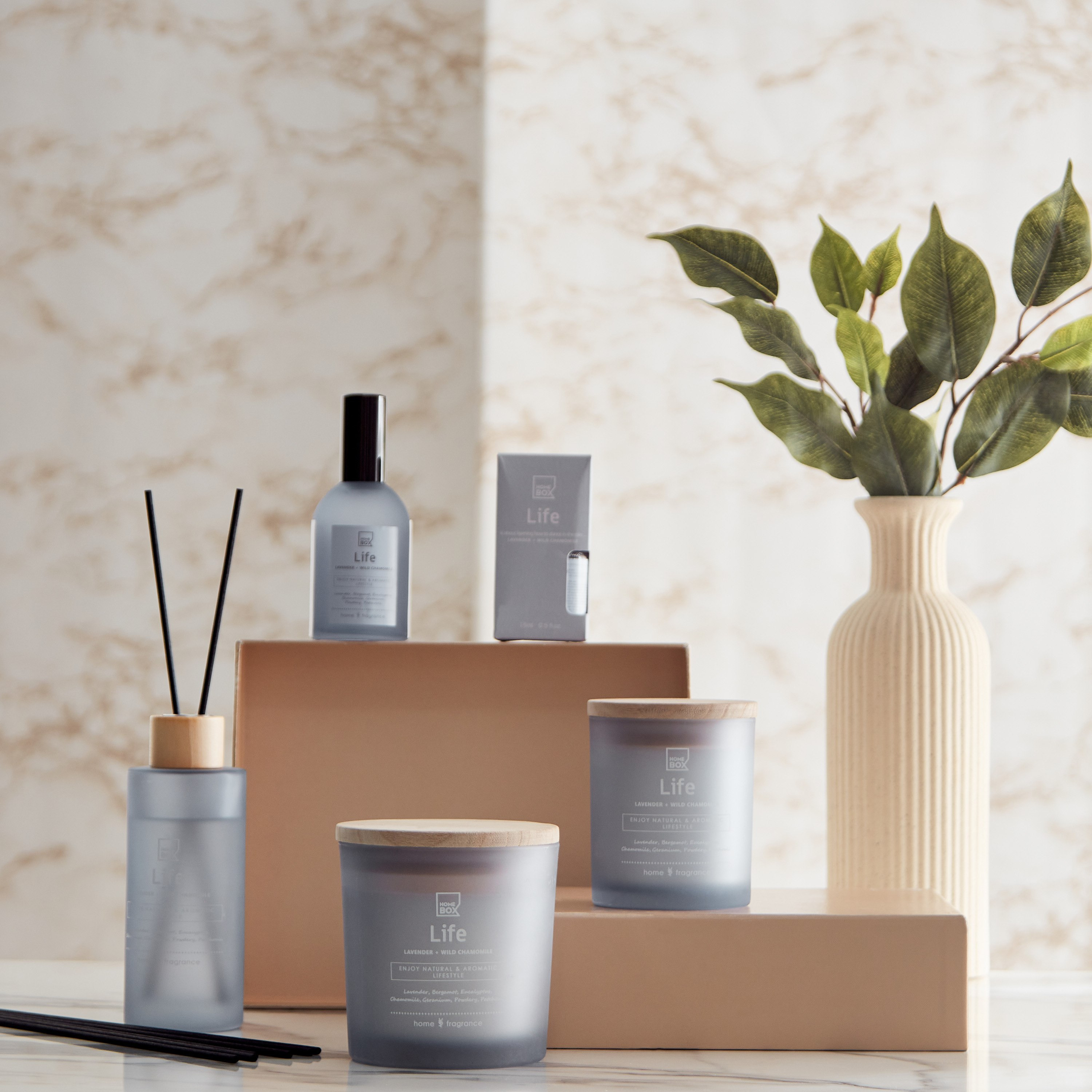 زيت عطري لايف من سنتمنت  - 15 مل-hbxdecorandfurnishings-homefragrance-roomfreshnersandaromamist-image-3