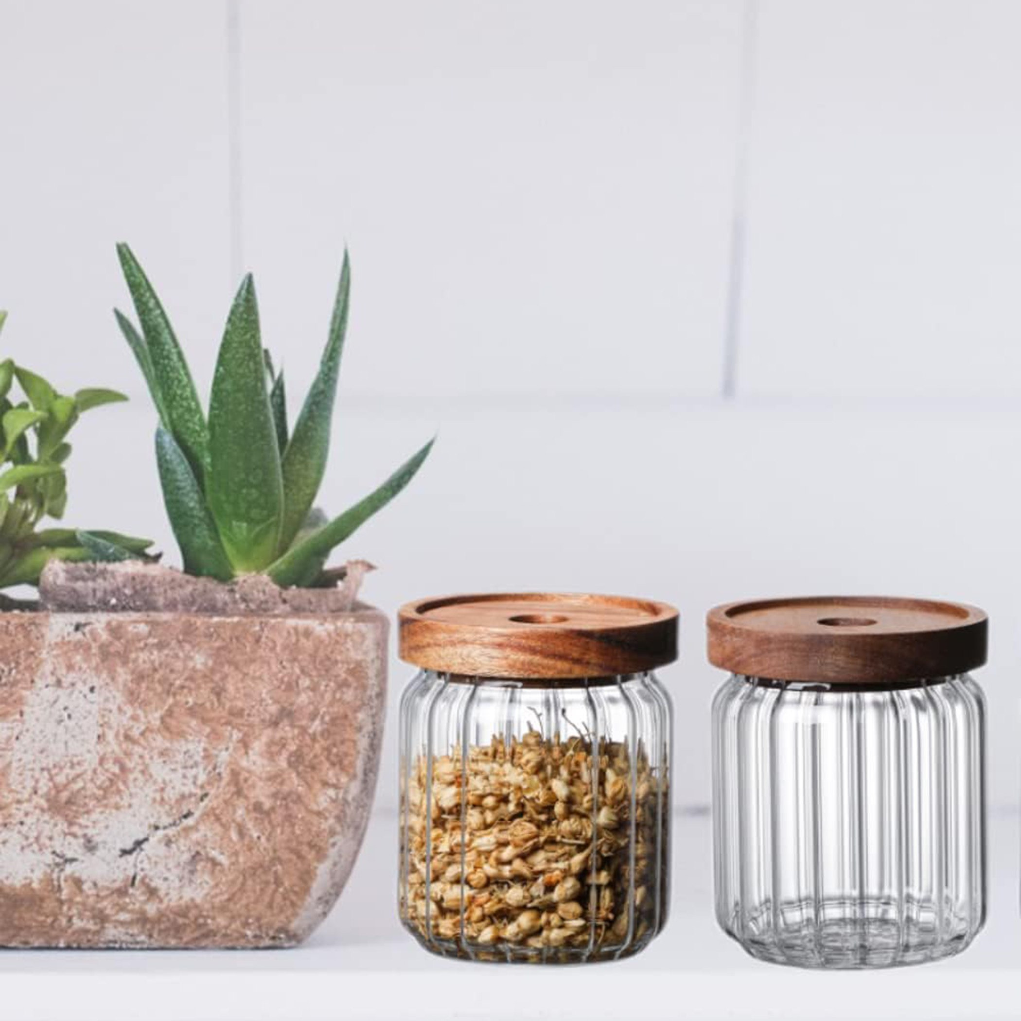 Zen Borosilicate 2-Piece Airtight Glass Storage Jar Set - 500 ml-hbxhomeware-hbxkitchen-image-1