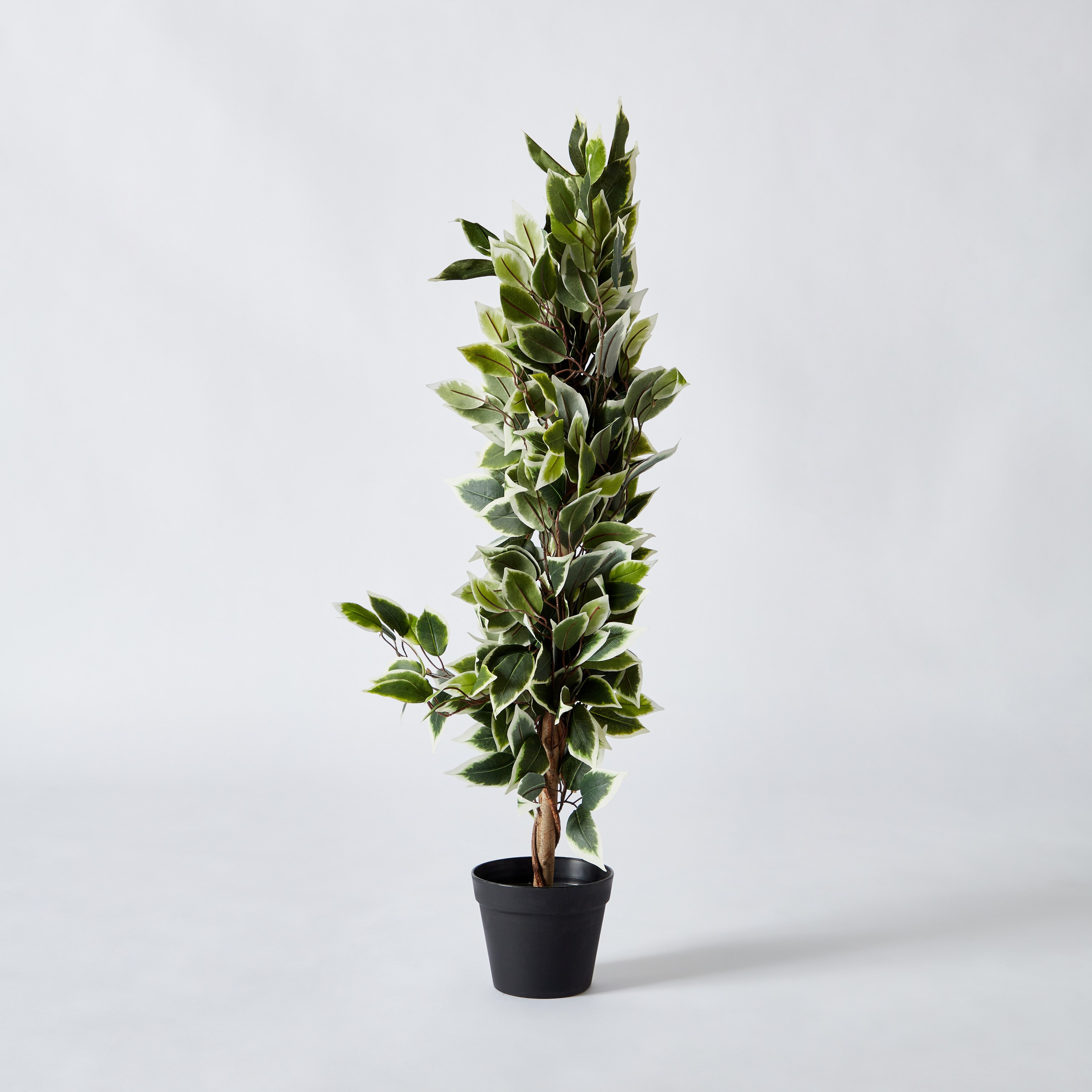 شجرة فيكس صناعية مع إناء من كليري - 95 سم-hbxhomeware-hbxdecorandfurnishings-image-6