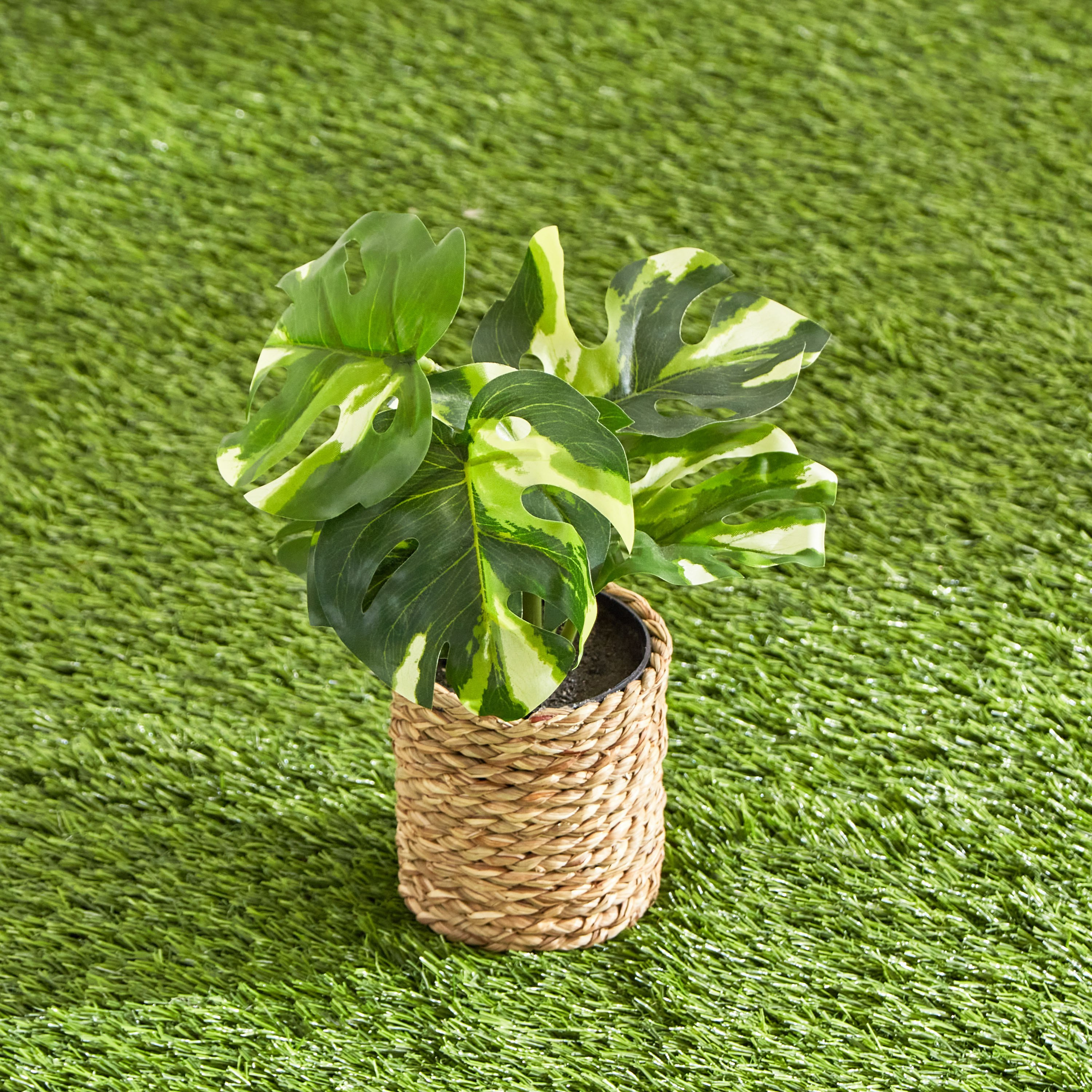 نبتة صناعية مع إناء من كليري - 22 سم-hbxhomeware-hbxdecorandfurnishings-image-2