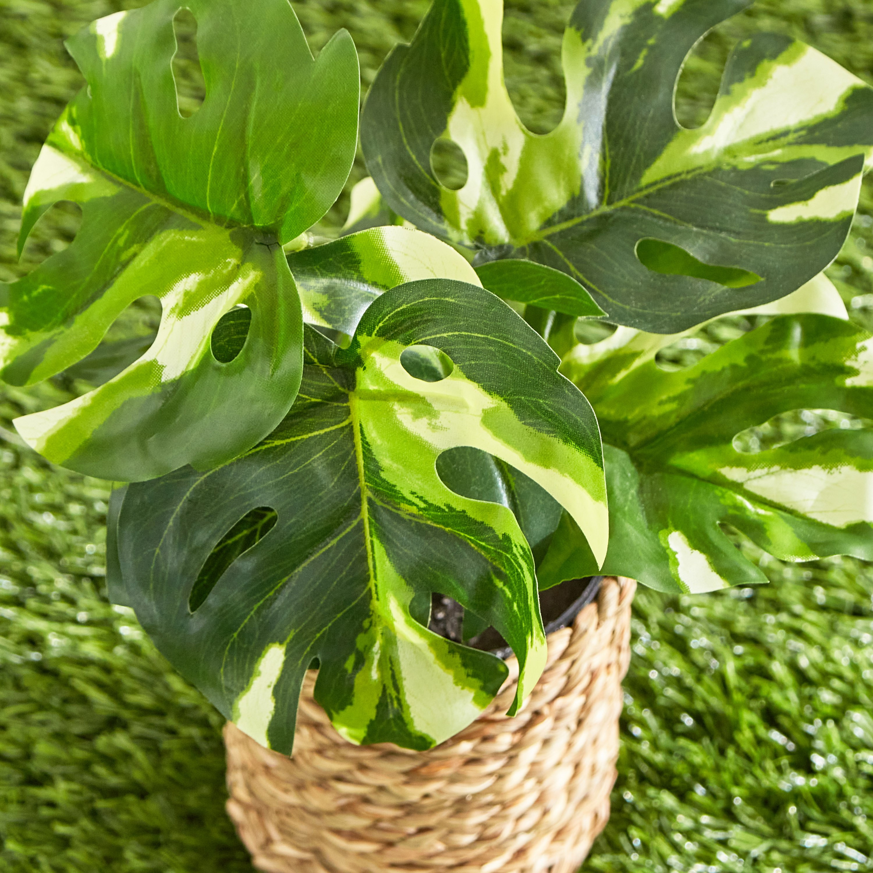 نبتة صناعية مع إناء من كليري - 22 سم-hbxhomeware-hbxdecorandfurnishings-image-3