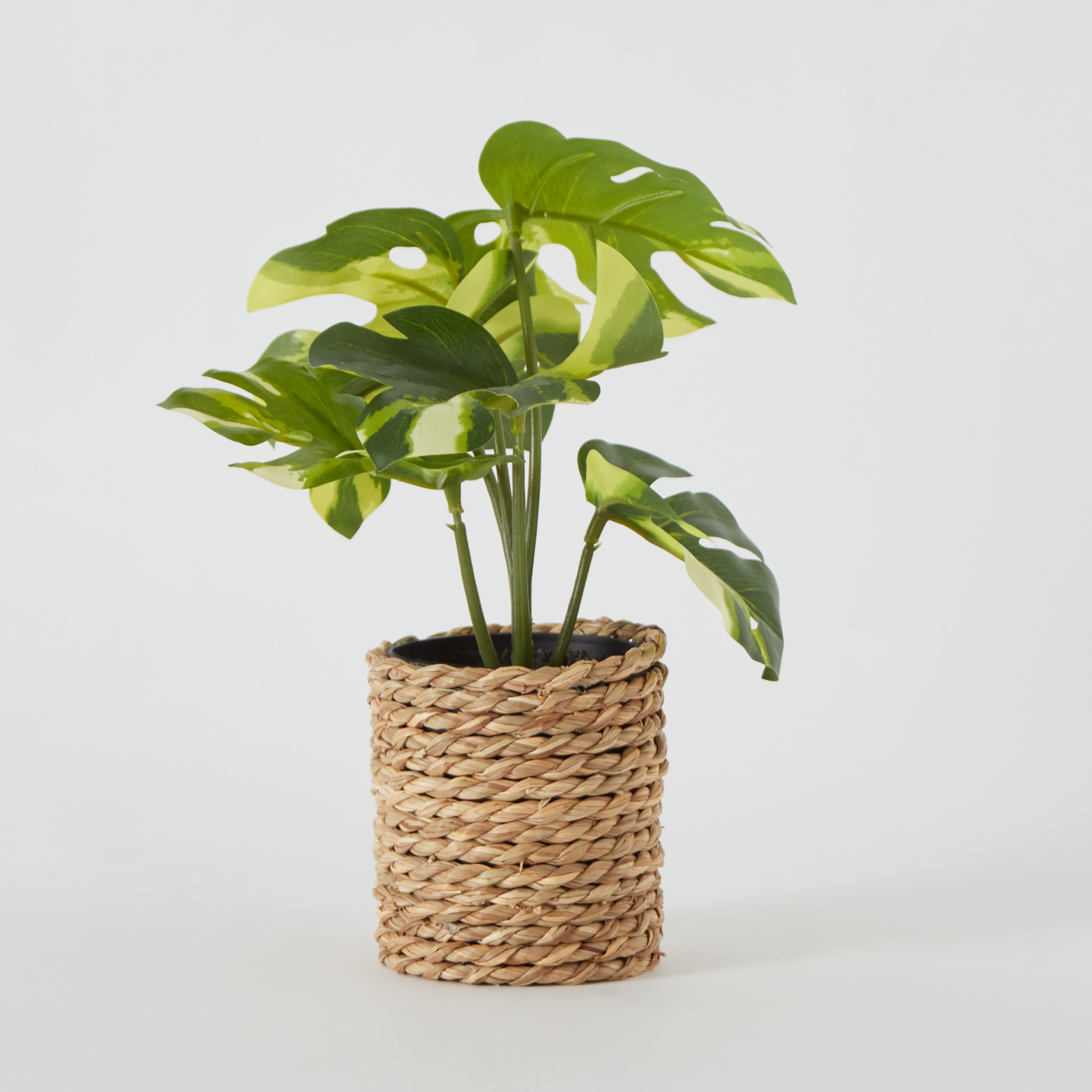 نبتة صناعية مع إناء من كليري - 22 سم-hbxhomeware-hbxdecorandfurnishings-image-6