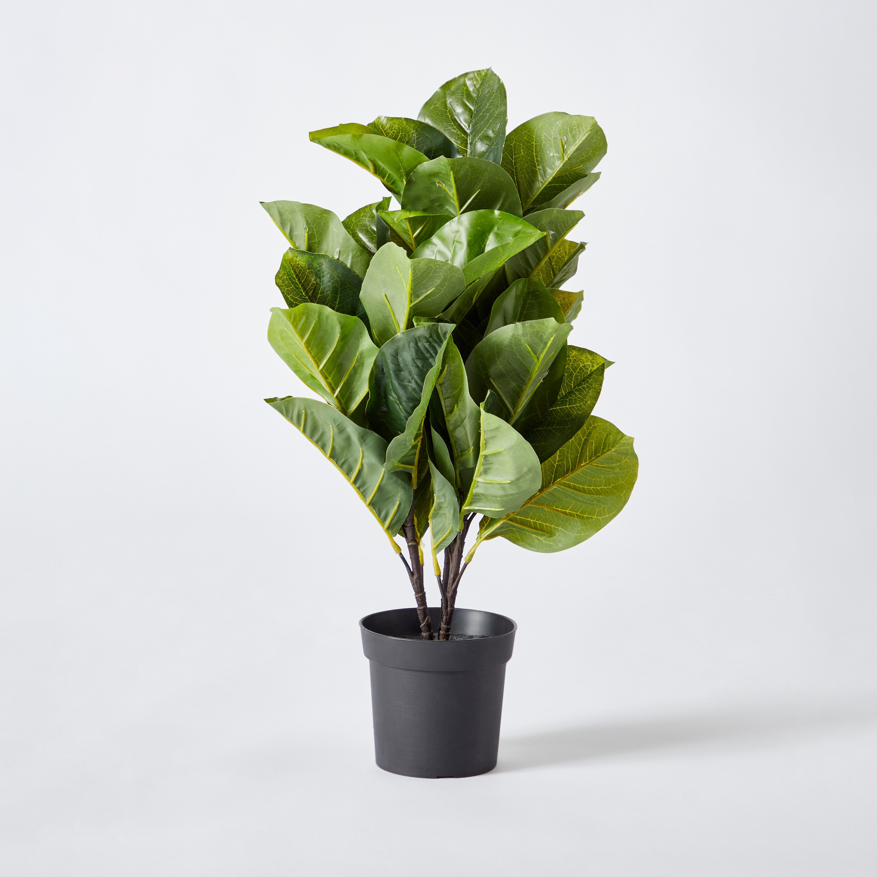 نبتة صناعية مع إناء من كليري - 50 سم-hbxhomeware-hbxdecorandfurnishings-image-6