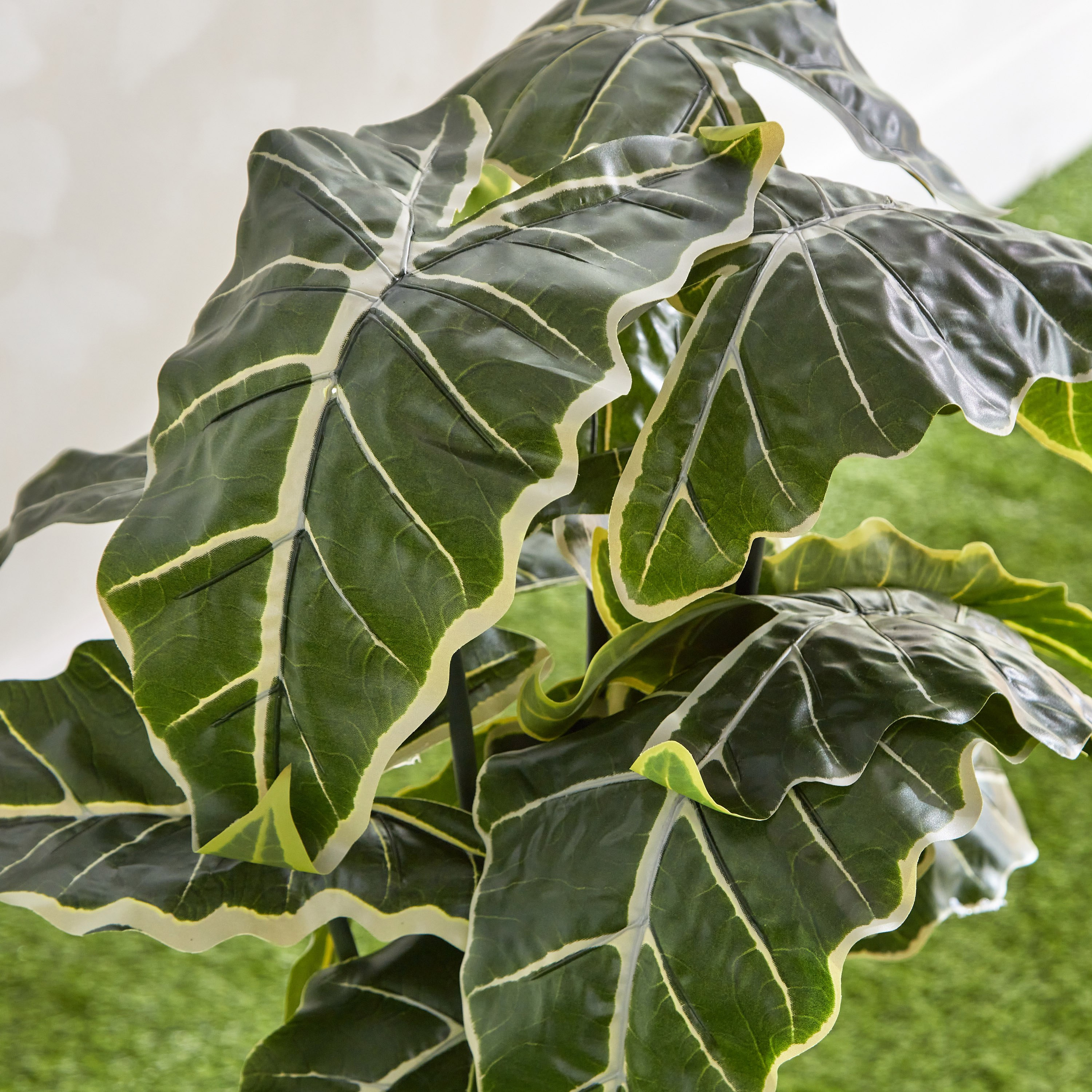 Clarey Alocasia Artificial Plant with Pot - 80 cm-hbxhomeware-hbxdecorandfurnishings-image-3