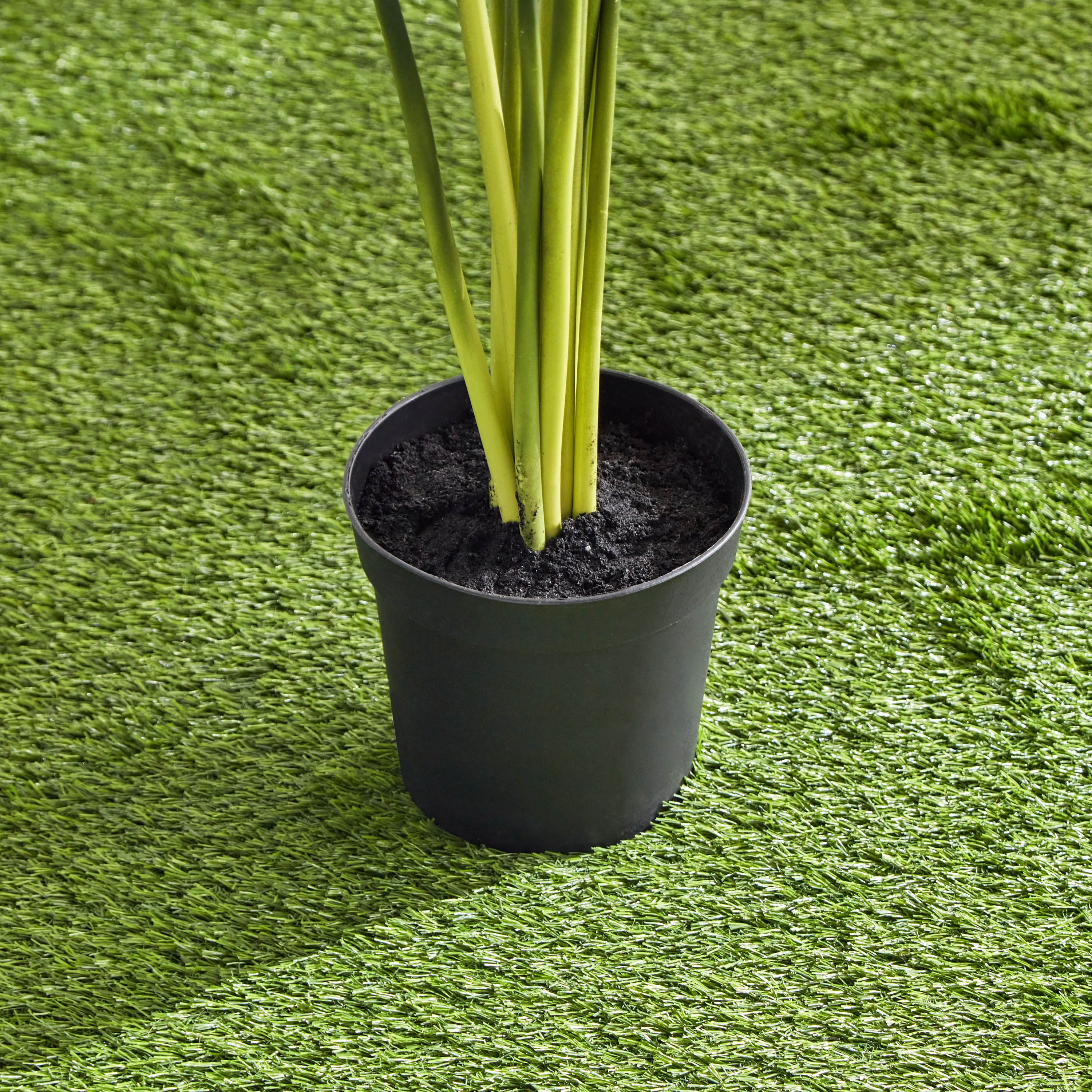 Clarey Alocasia Artificial Plant with Pot - 80 cm-hbxhomeware-hbxdecorandfurnishings-image-4