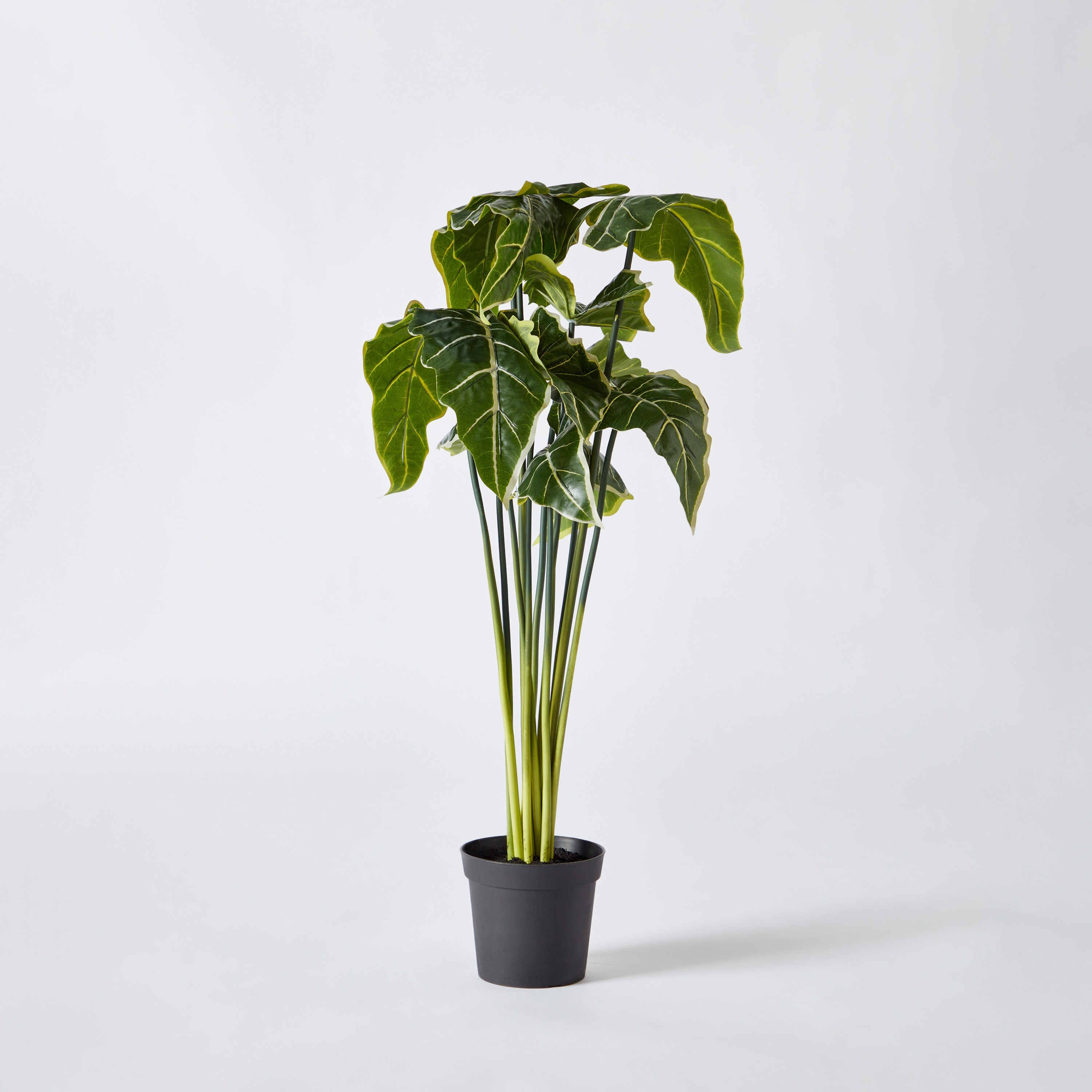 Clarey Alocasia Artificial Plant with Pot - 80 cm-hbxhomeware-hbxdecorandfurnishings-image-6